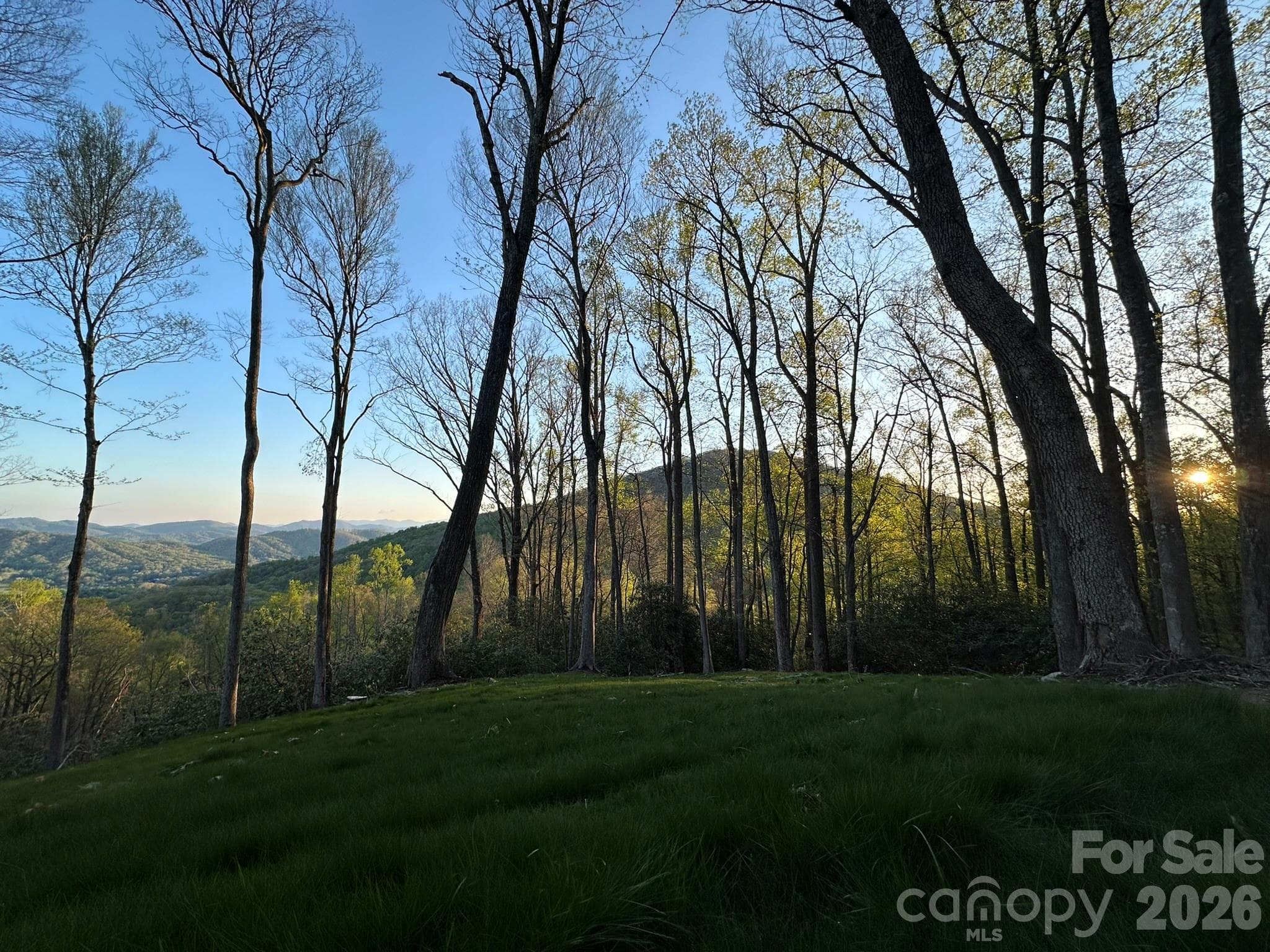 Lot at 202 Hemlock Grove Trail, Hendersonville, photo 11 of 21