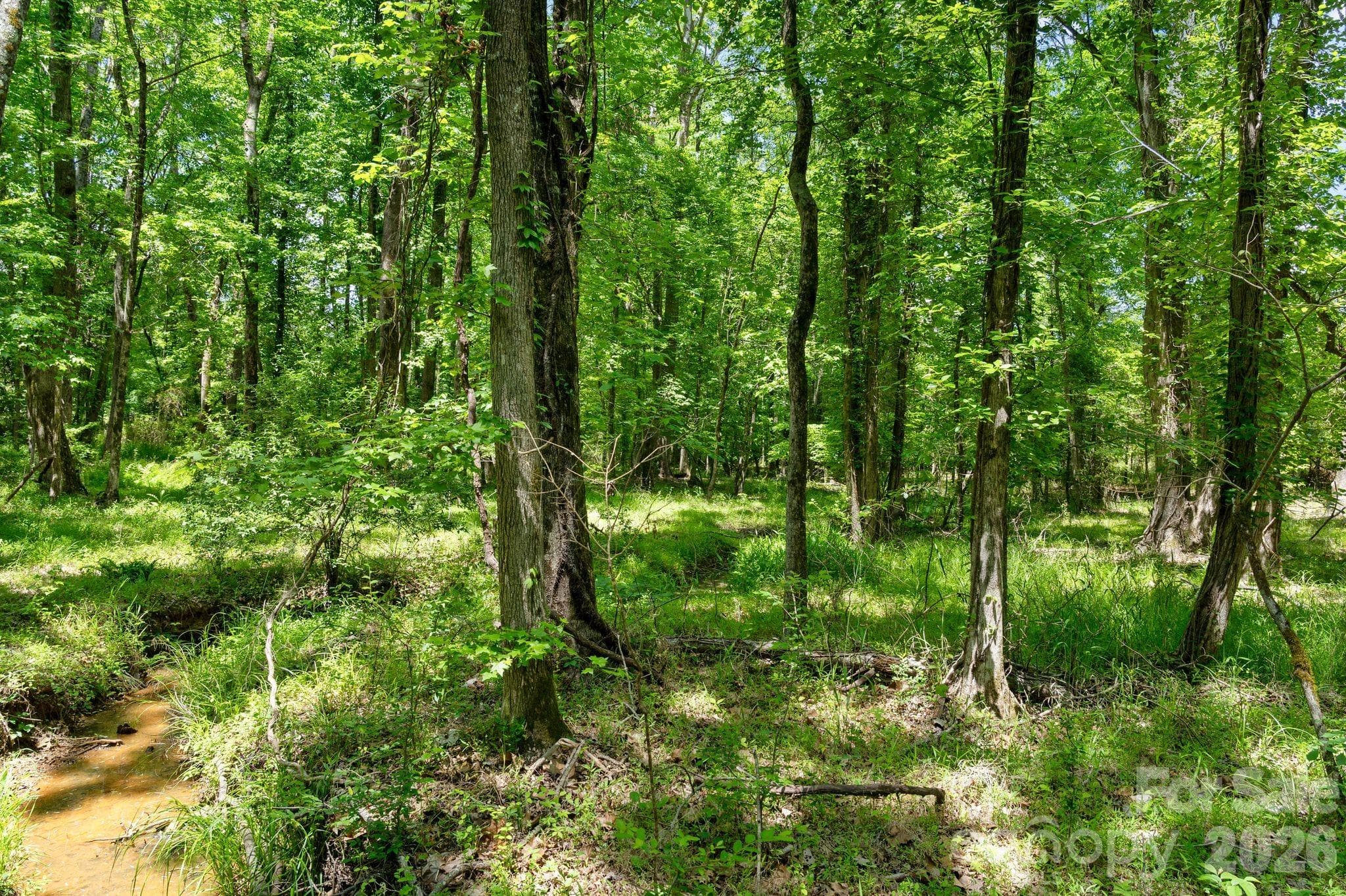 gorgeous creek rolling through hardwood forest - 0000 Cool Branch Road, Carlisle