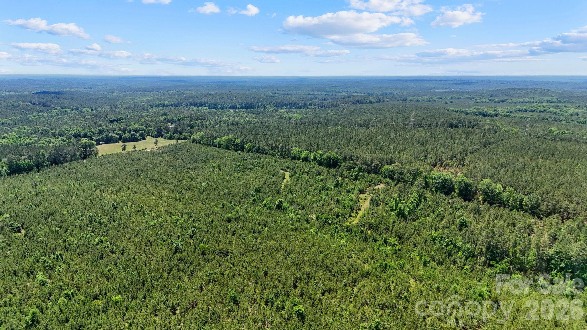 Acreage at 0000 Cool Branch Road, Carlisle, photo 5 of 45