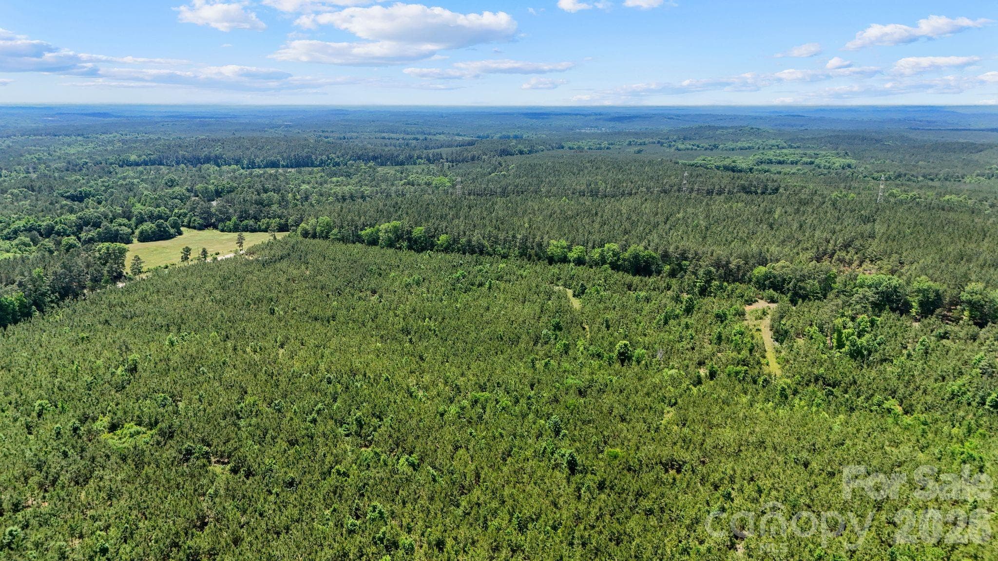 Acreage at 0000 Cool Branch Road, Carlisle, photo 6 of 45
