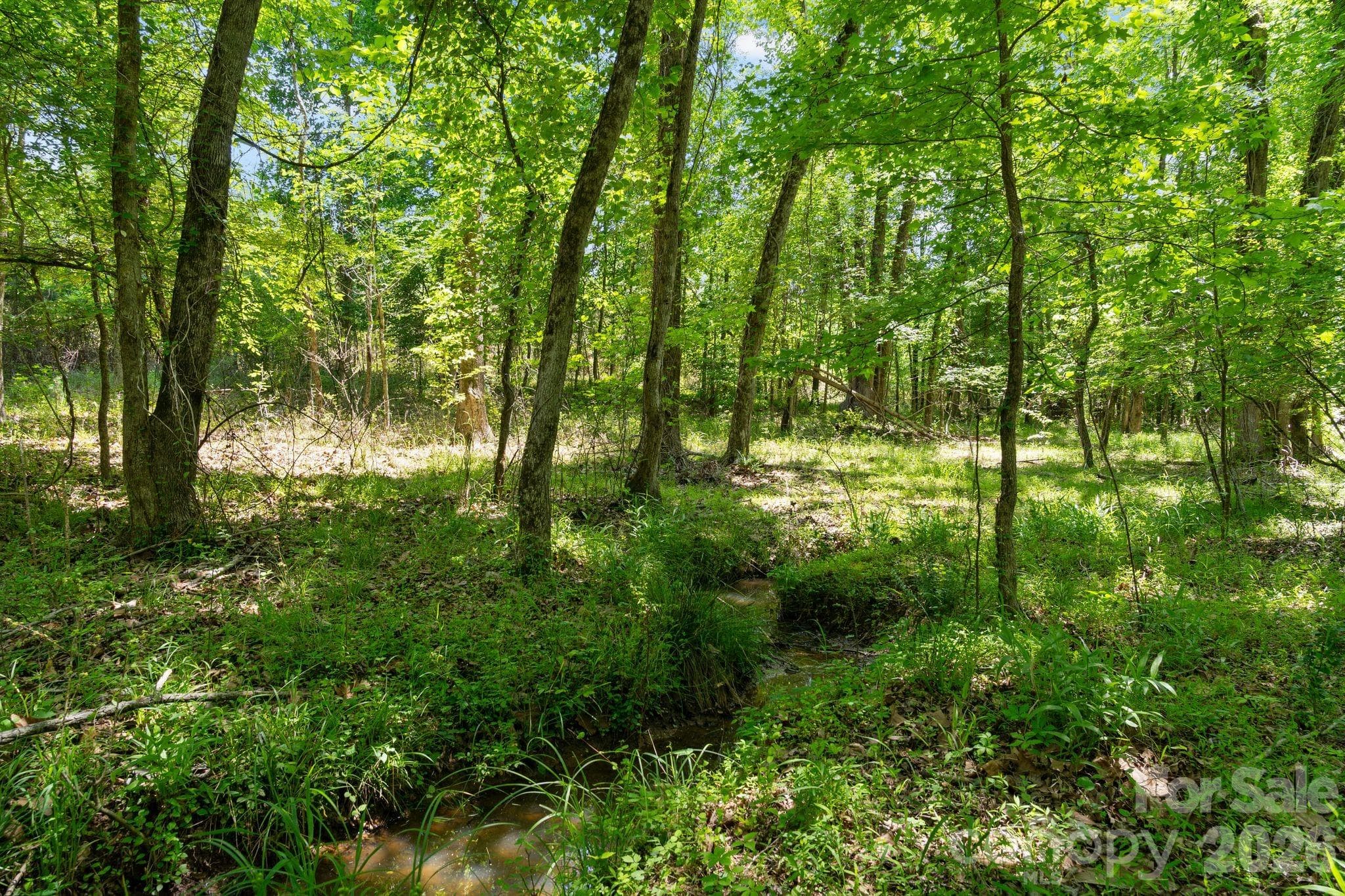 creek bottom - 0000 Cool Branch Road, Carlisle