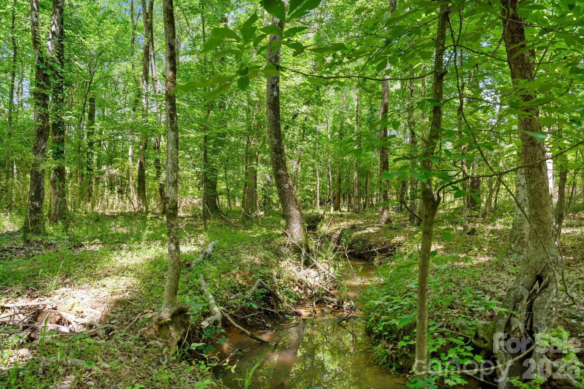 Acreage at 0000 Cool Branch Road, Carlisle, photo 10 of 45