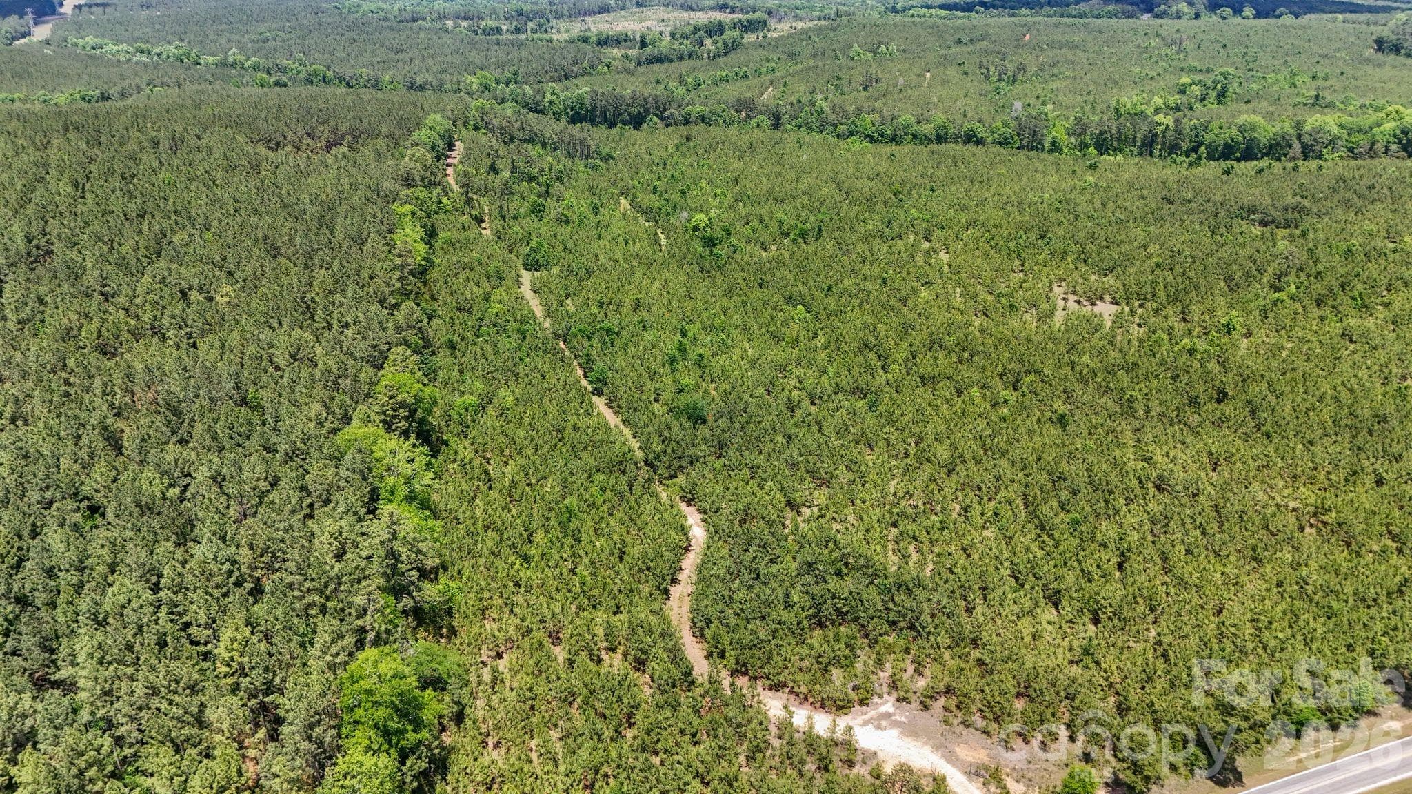 Acreage at 0000 Cool Branch Road, Carlisle, photo 13 of 45