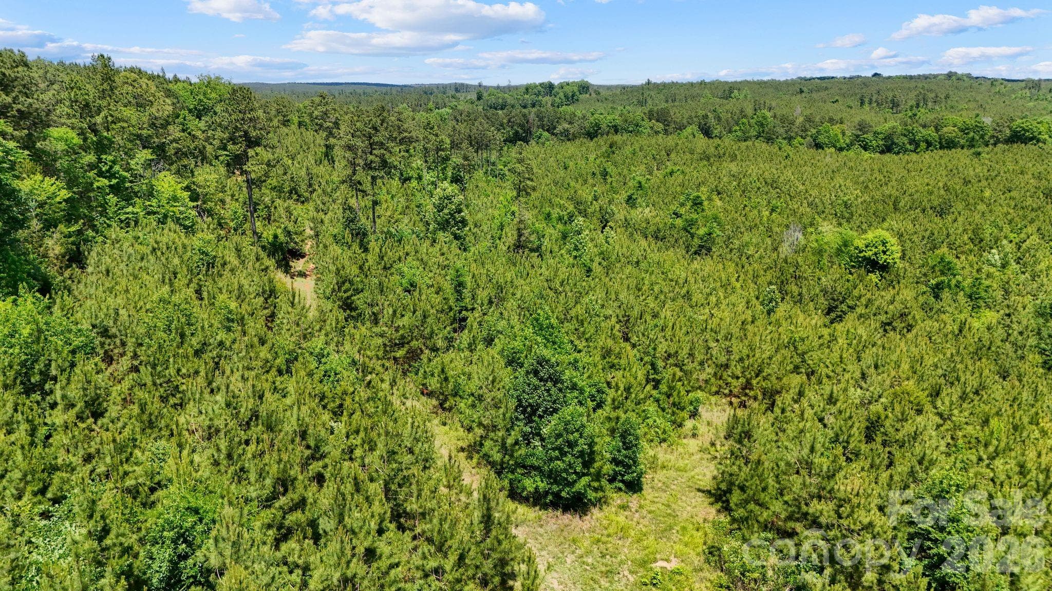 Acreage at 0000 Cool Branch Road, Carlisle, photo 16 of 45