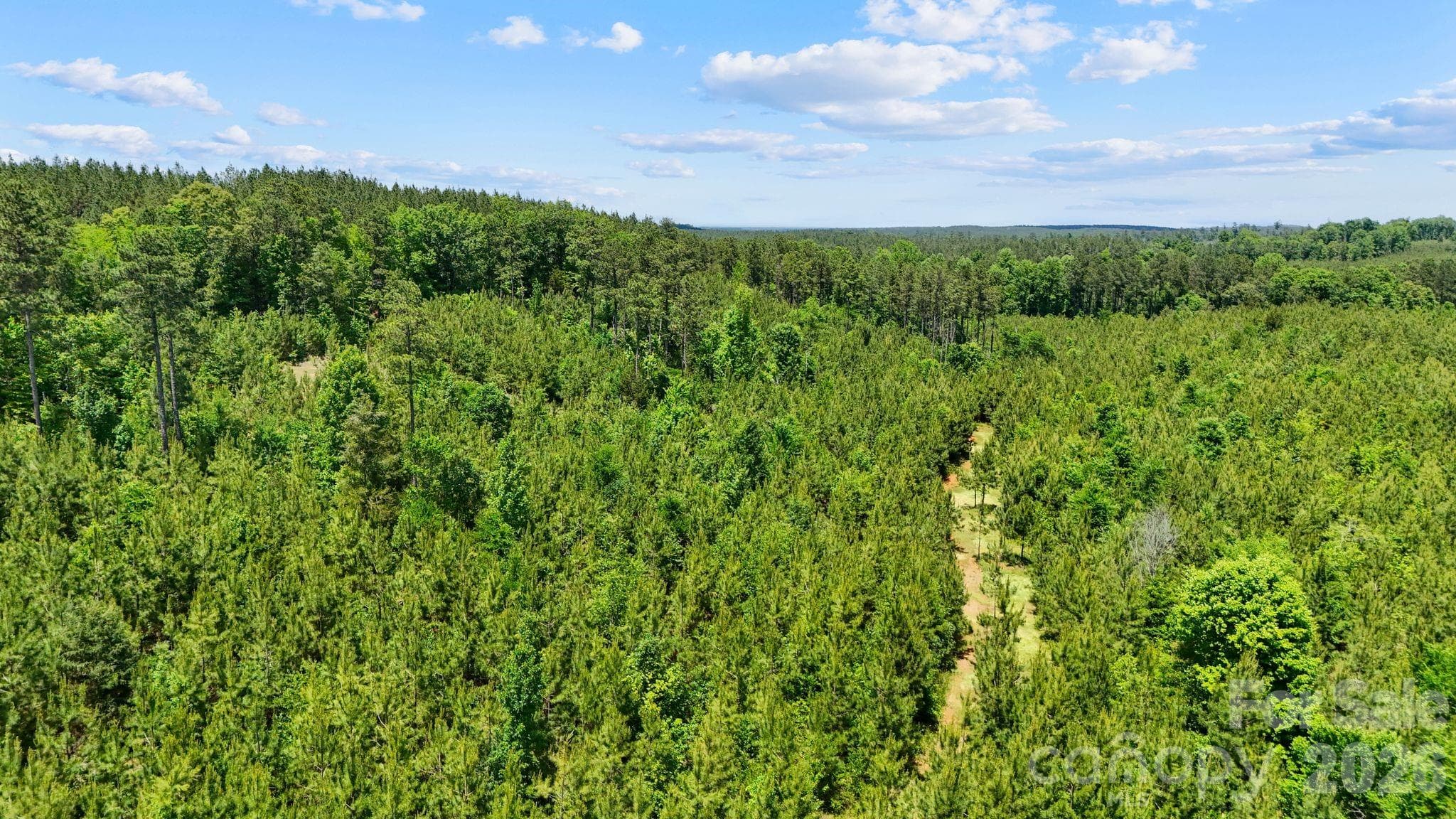 Acreage at 0000 Cool Branch Road, Carlisle, photo 17 of 45