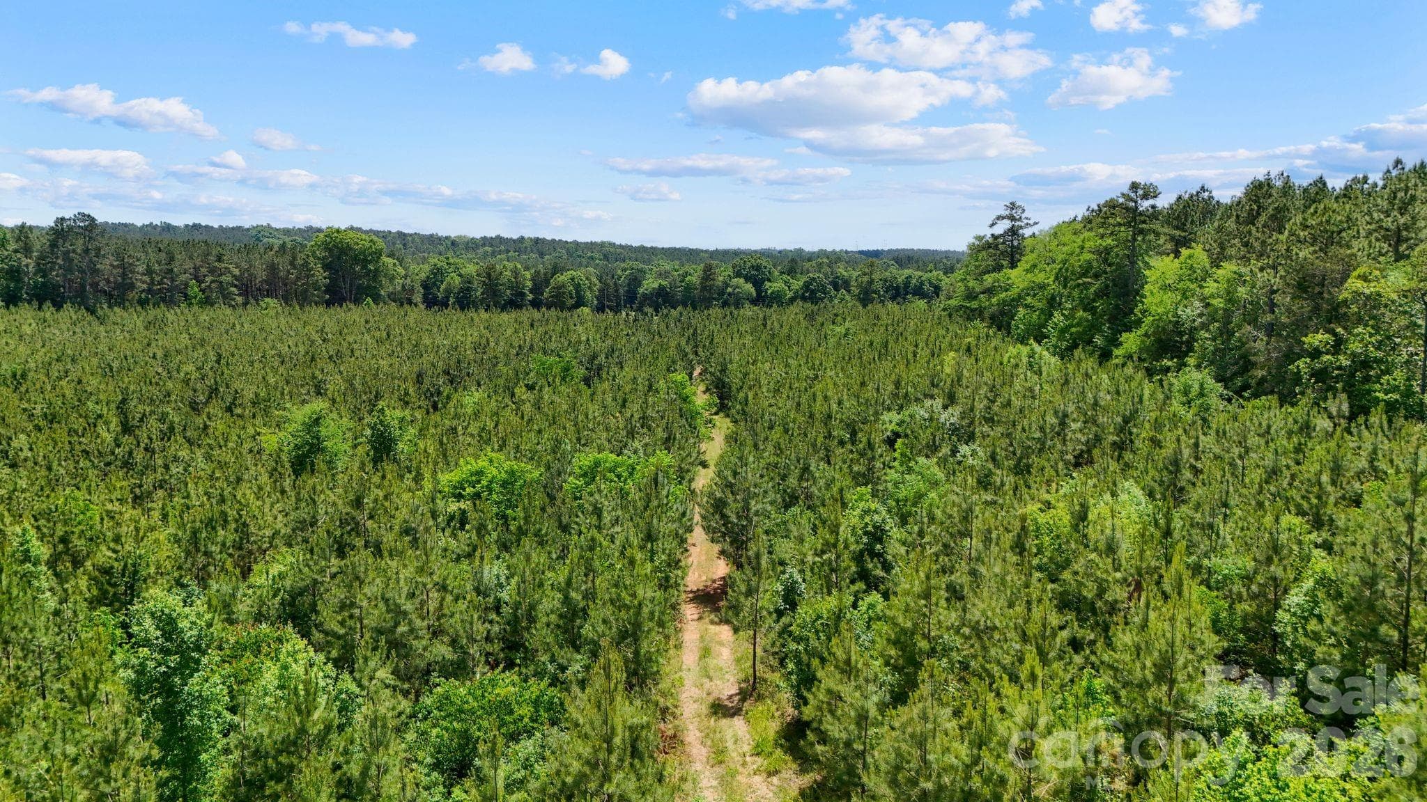Acreage at 0000 Cool Branch Road, Carlisle, photo 21 of 45