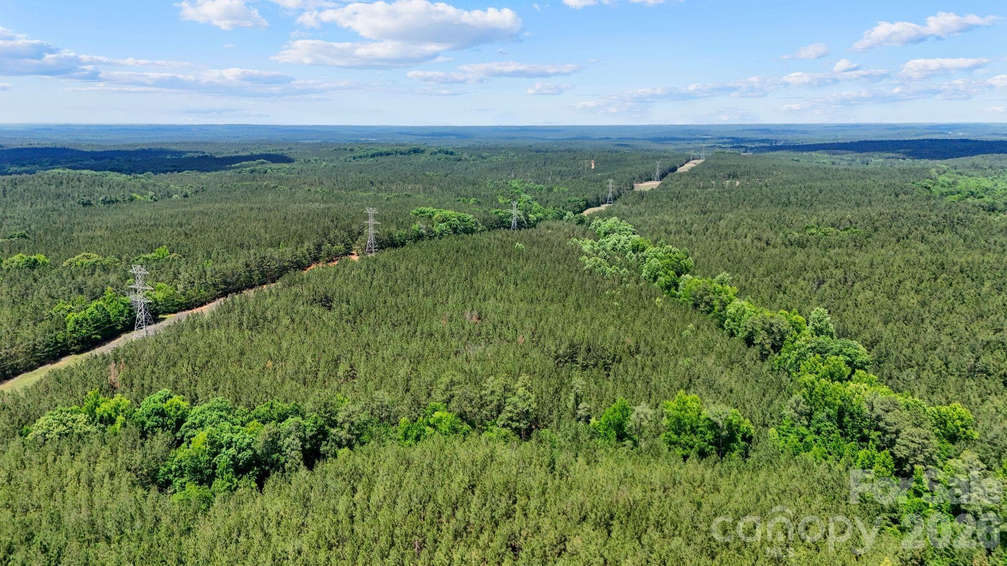 Acreage at 0000 Cool Branch Road, Carlisle, photo 22 of 45