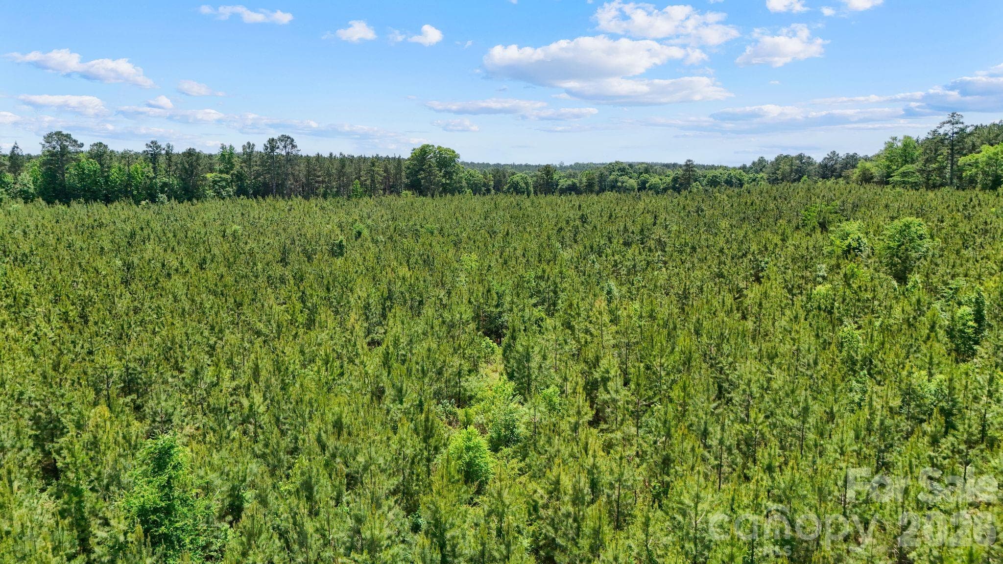 Acreage at 0000 Cool Branch Road, Carlisle, photo 23 of 45