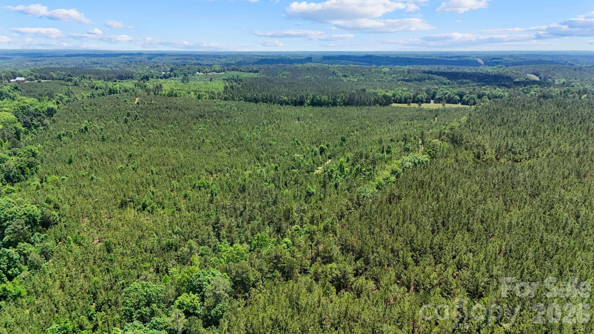 Acreage at 0000 Cool Branch Road, Carlisle, photo 24 of 45