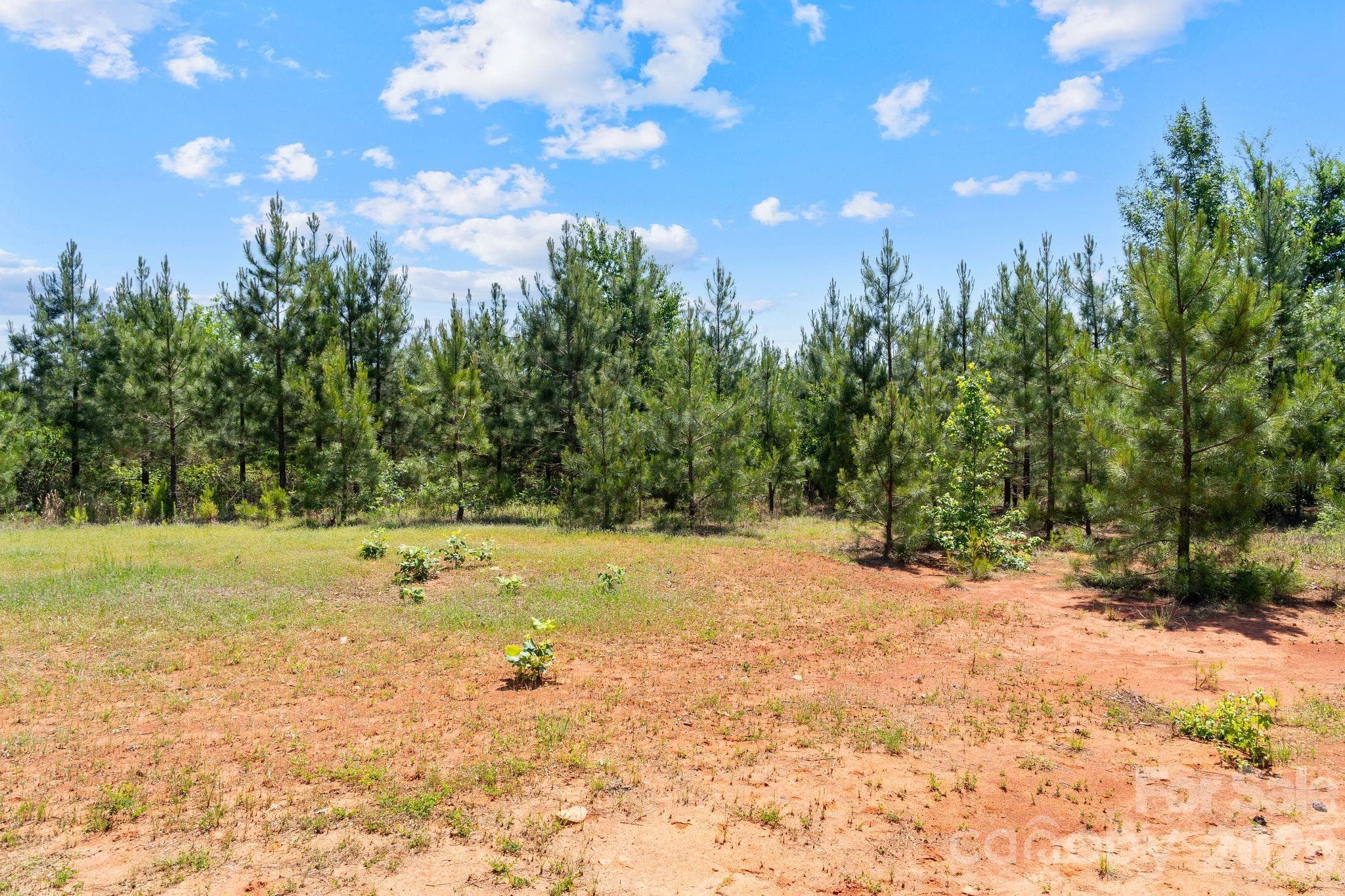 Acreage at 0000 Cool Branch Road, Carlisle, photo 31 of 45
