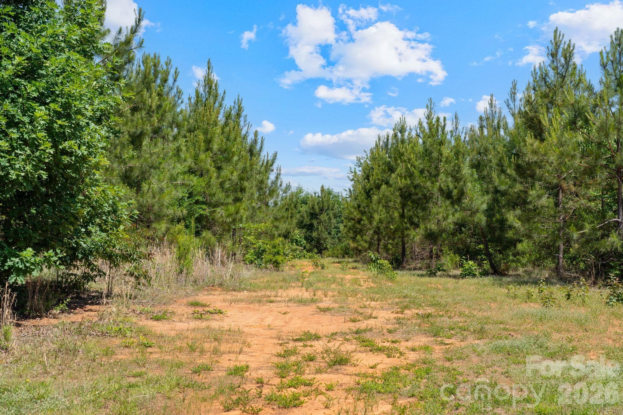 Acreage at 0000 Cool Branch Road, Carlisle, photo 32 of 45