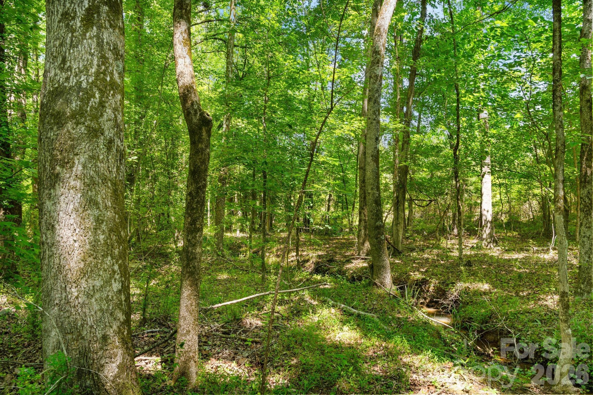Acreage at 0000 Cool Branch Road, Carlisle, photo 34 of 45