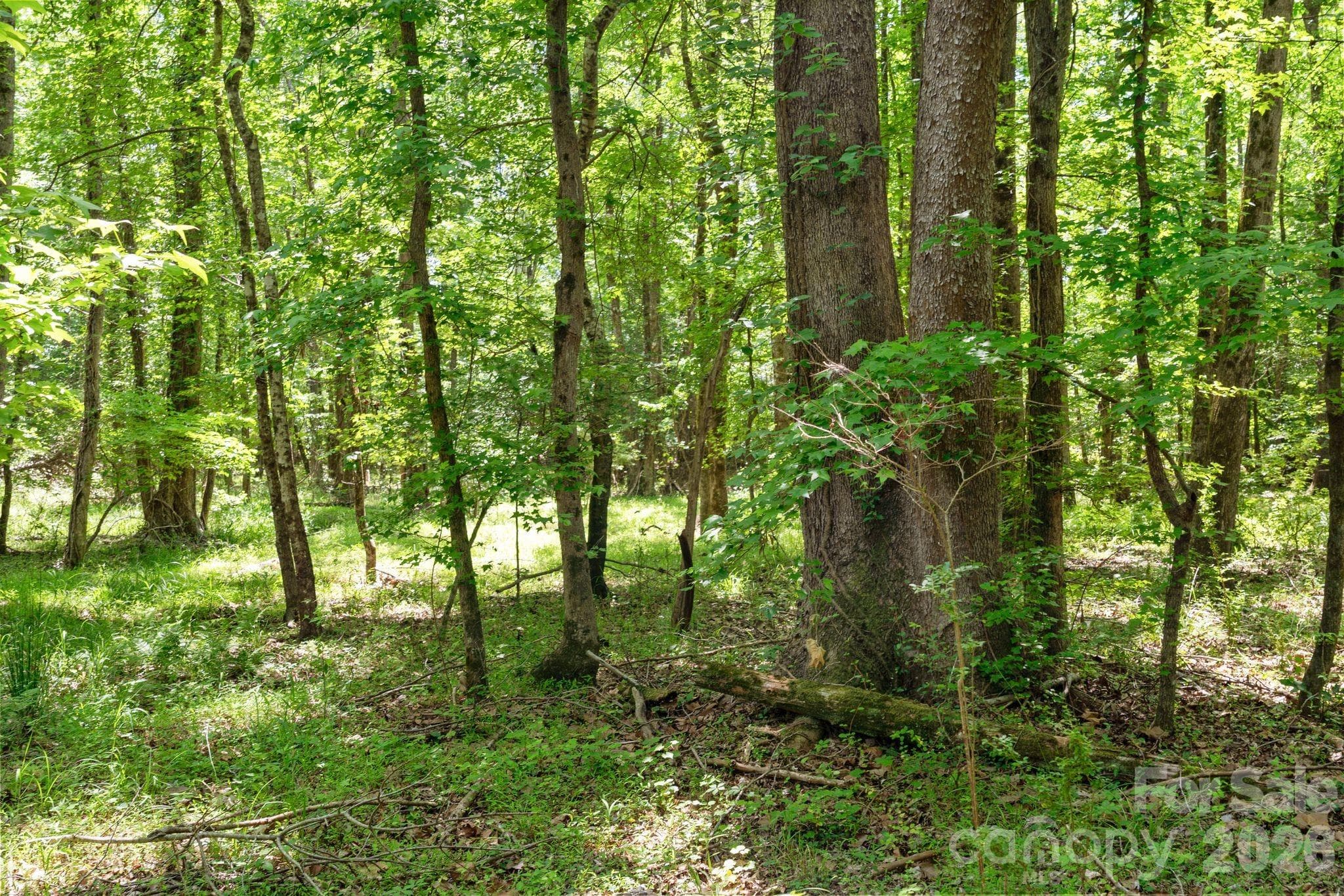 Acreage at 0000 Cool Branch Road, Carlisle, photo 37 of 45