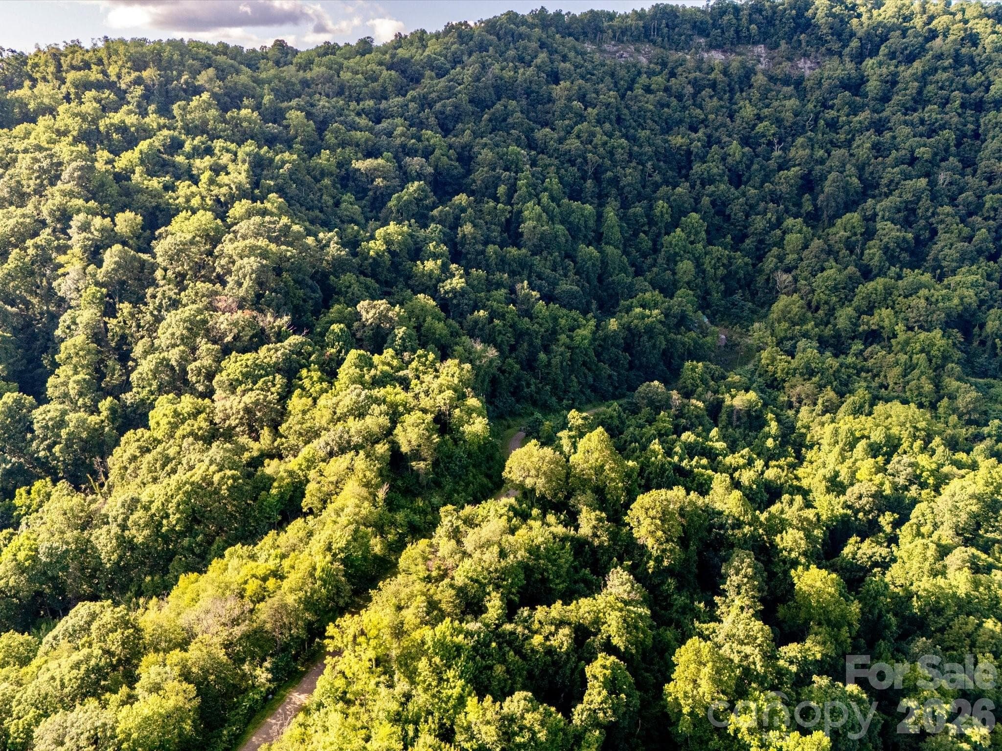 A slice of private paradise - 42 High Rock View Drive, Canton