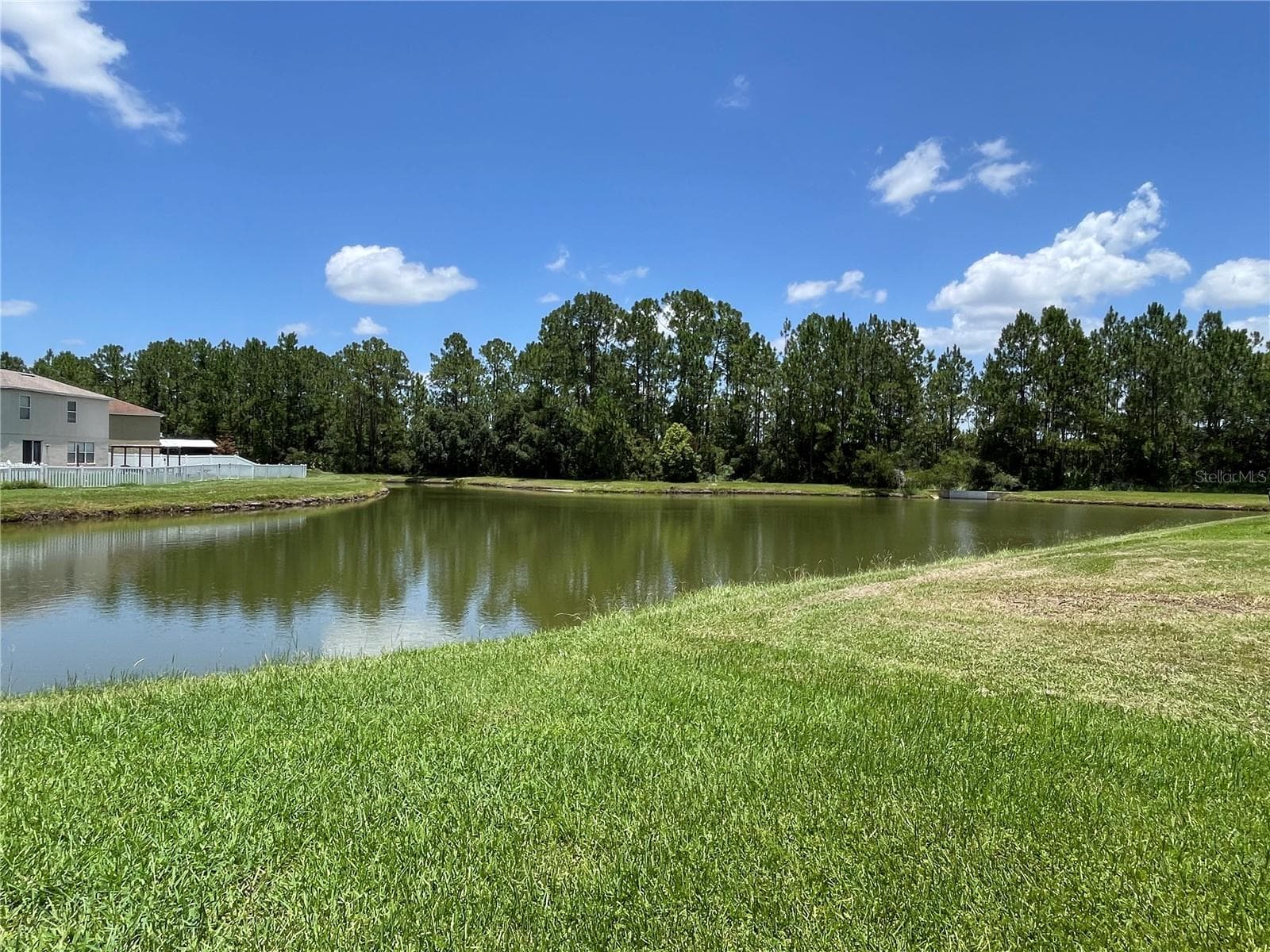 Beautiful lot with pond and tree lined views - 5036 WHISTLING PINES CT, WESLEY CHAPEL
