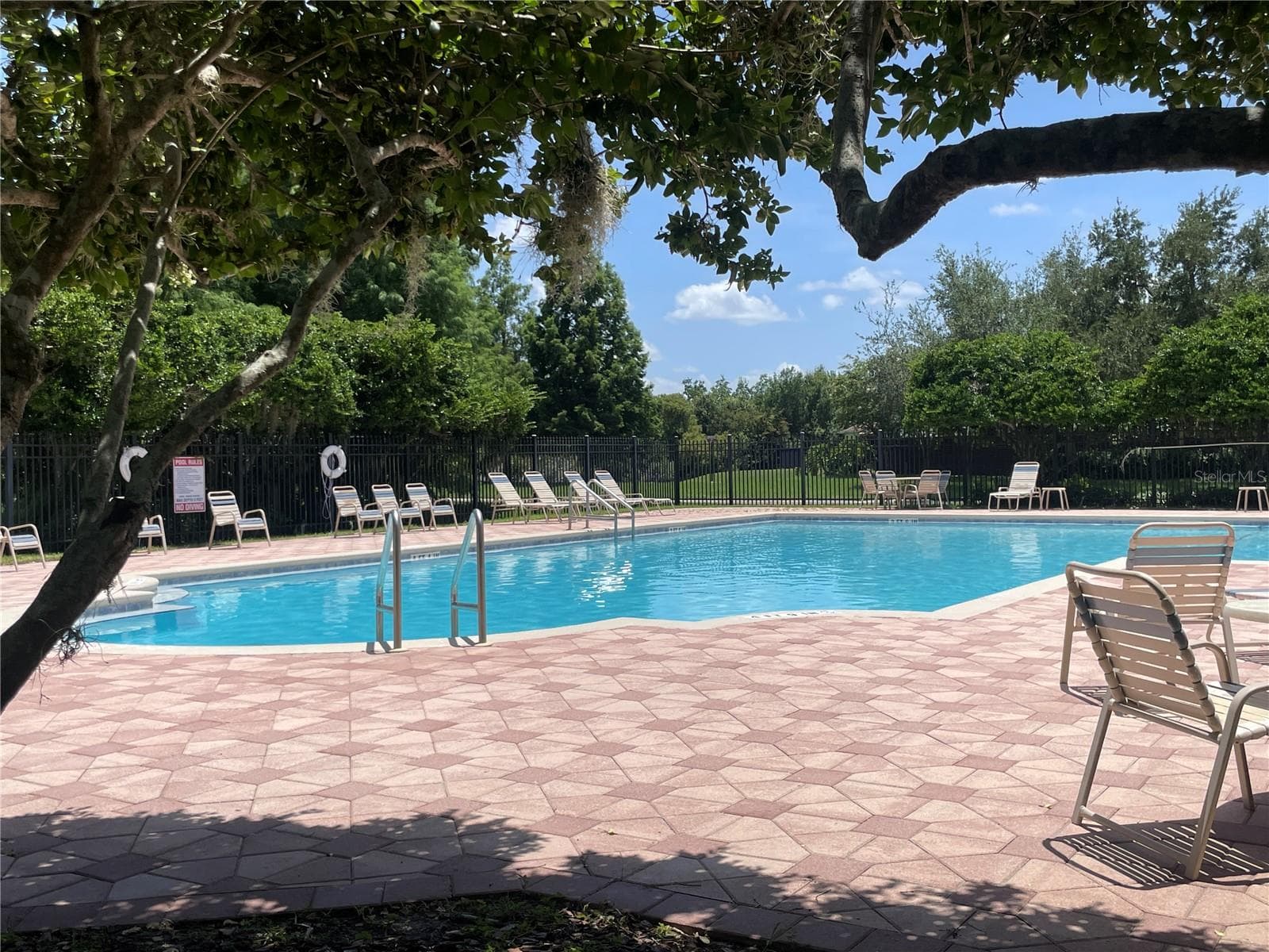 Community Pool - 5036 WHISTLING PINES CT, WESLEY CHAPEL