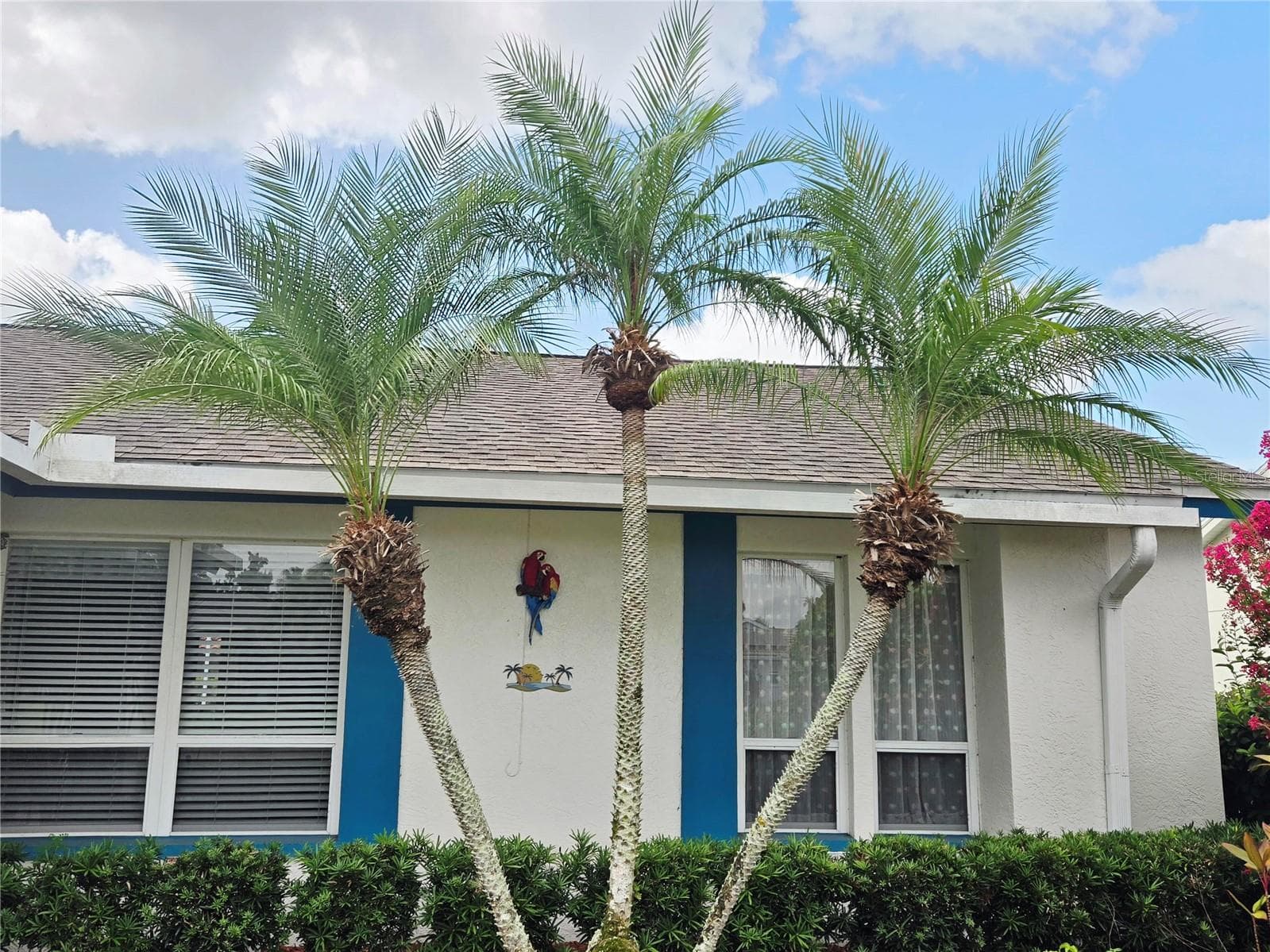 Single Family Residence at 4236 PRO AM AVE E, BRADENTON, photo 68 of 77