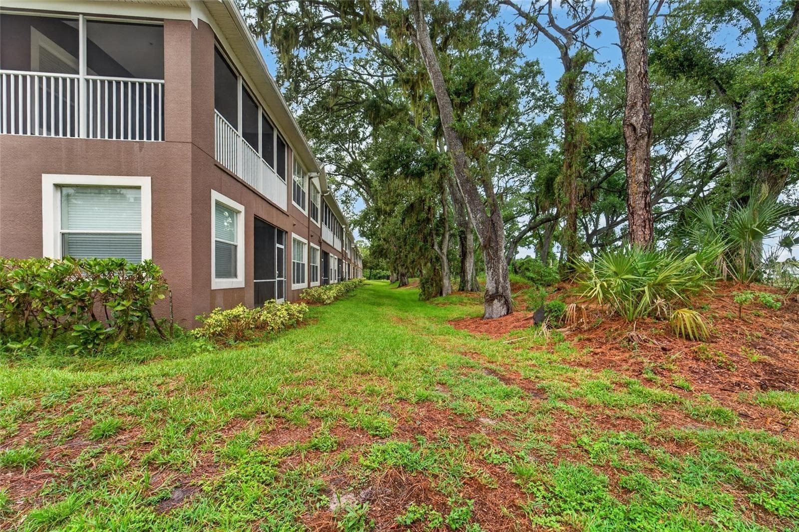 Side - 2005 RIVER TURIA CIR, RIVERVIEW