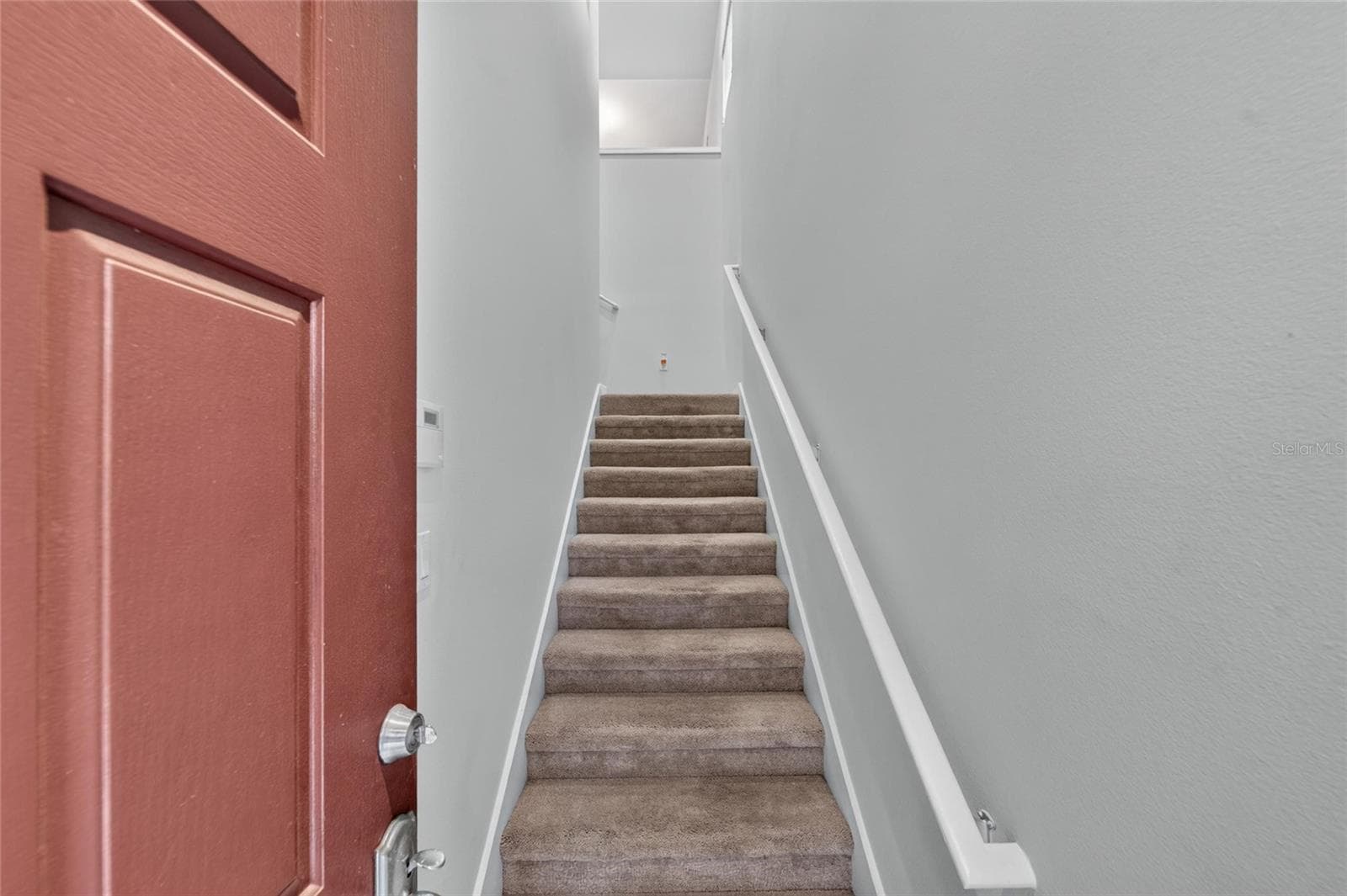 Garage door and stair access - 2005 RIVER TURIA CIR, RIVERVIEW