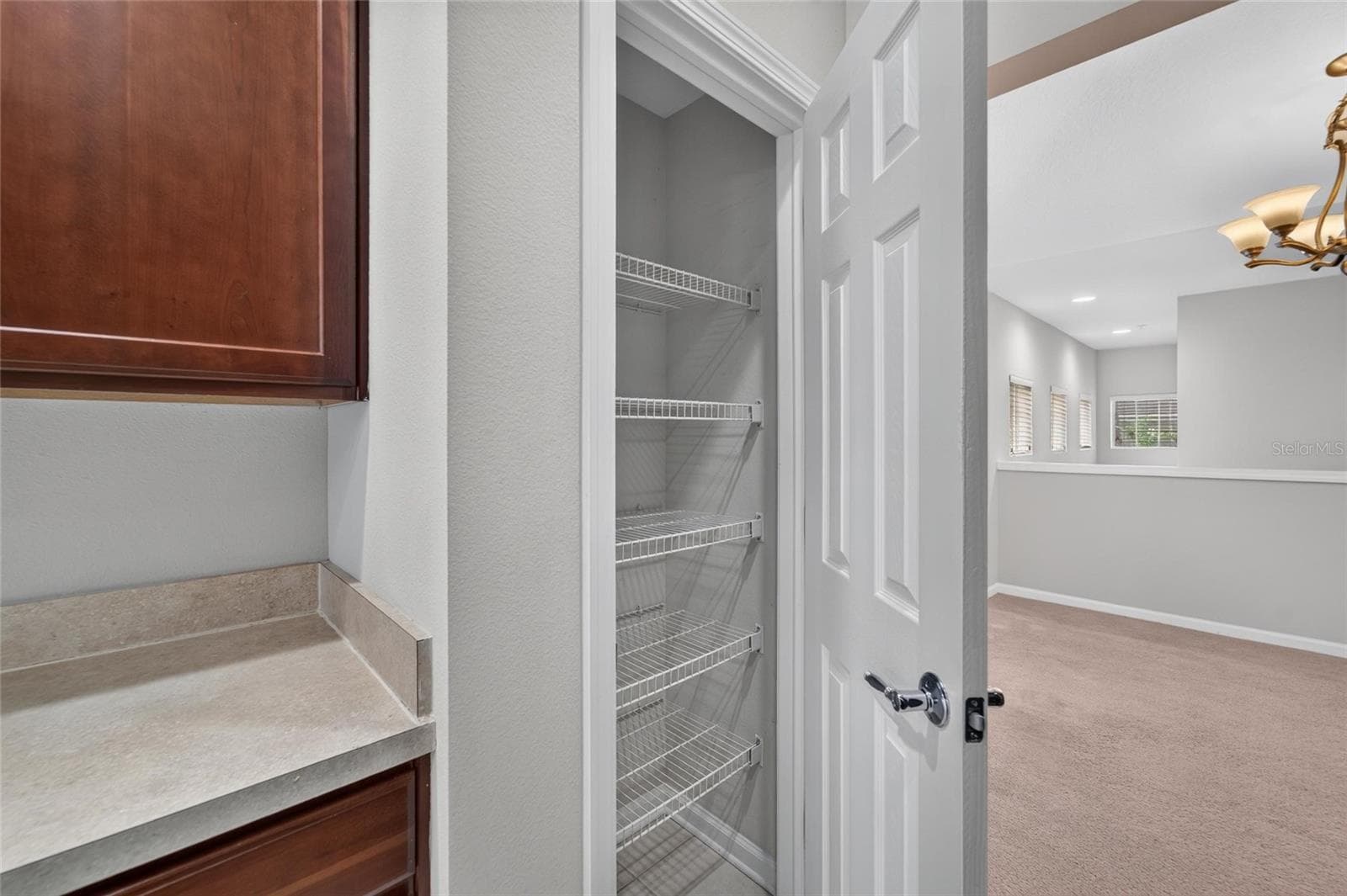 Pantry - 2005 RIVER TURIA CIR, RIVERVIEW