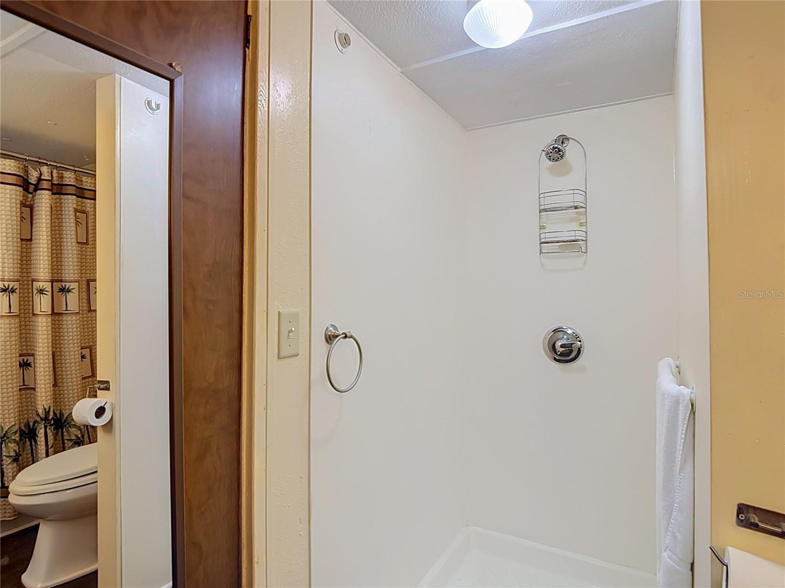 walk in shower - 39032 OLA AVE, ZEPHYRHILLS
