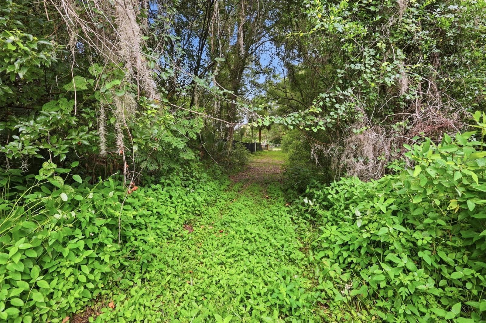 Land at S LAKEVIEW DR, LAKE HELEN, photo 14 of 25