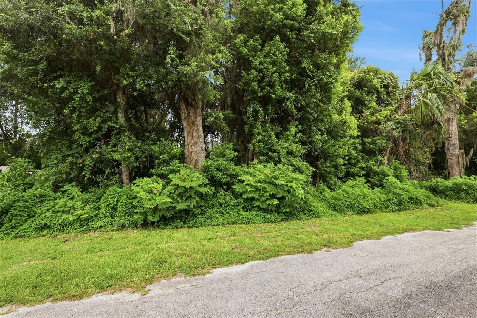 Land at S LAKEVIEW DR, LAKE HELEN, photo 15 of 25