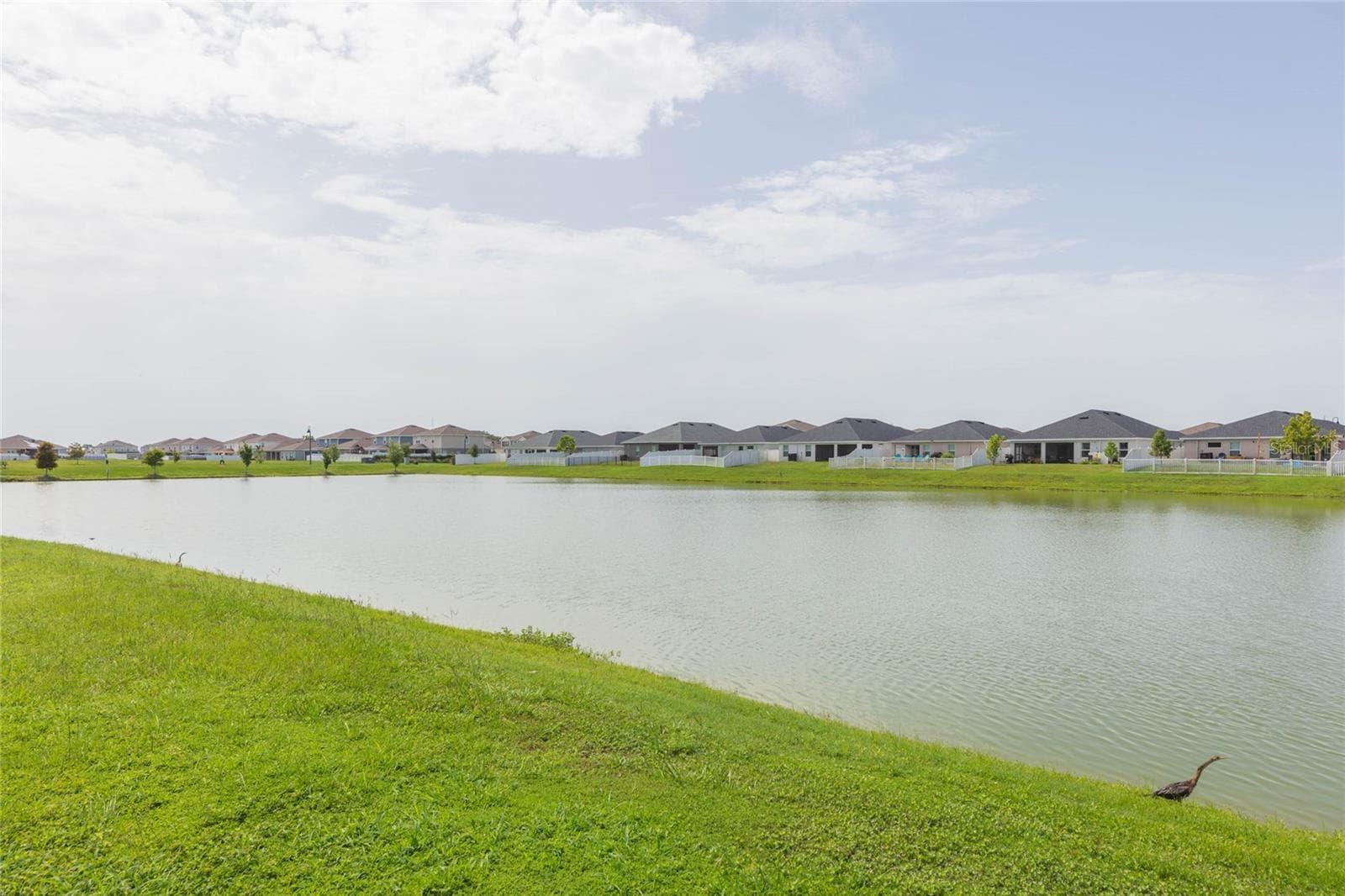Single Family Residence at 35171 CRESCENT CREEK DR, ZEPHYRHILLS, photo 41 of 62
