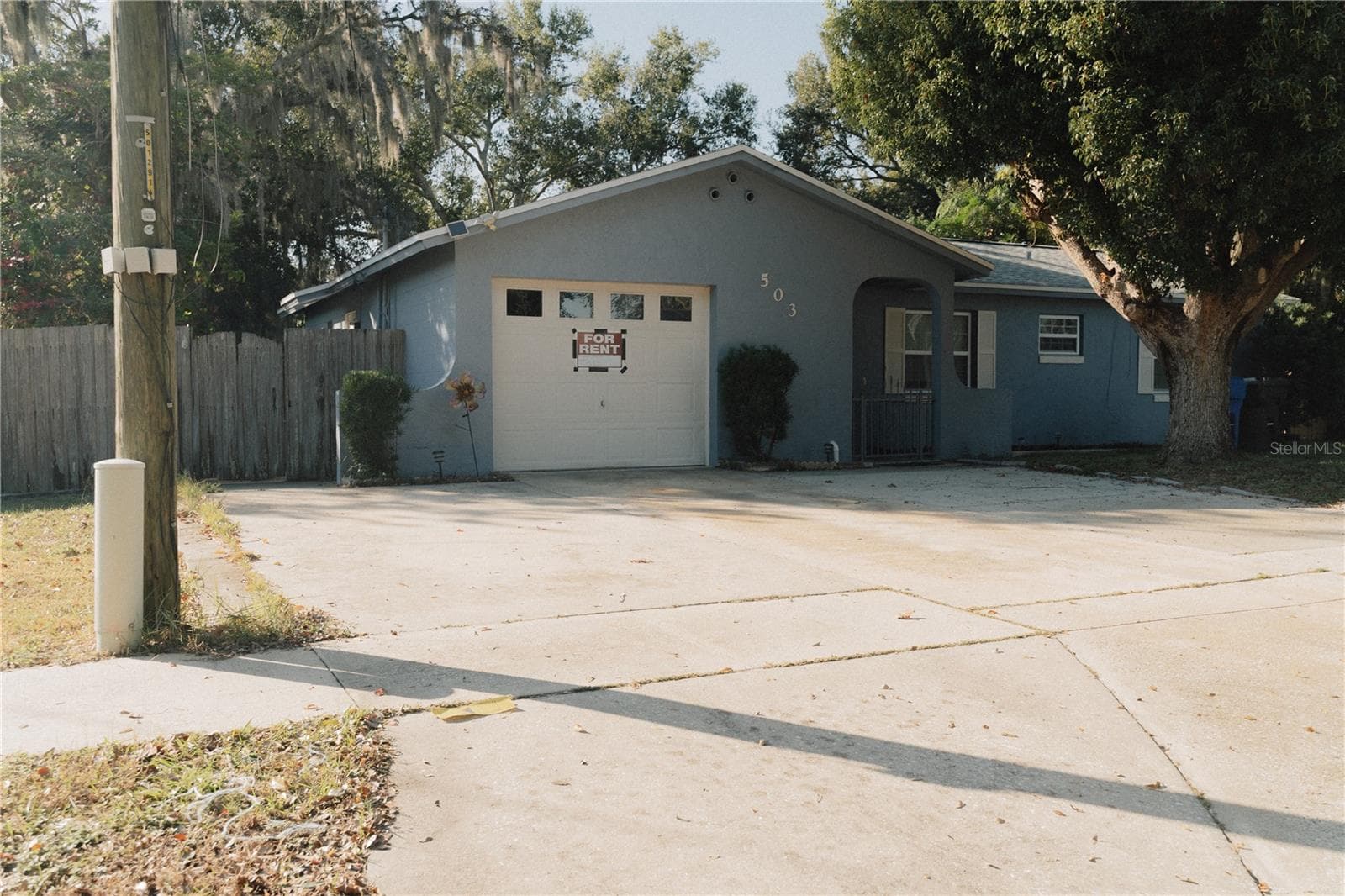 503 APRICOT DR