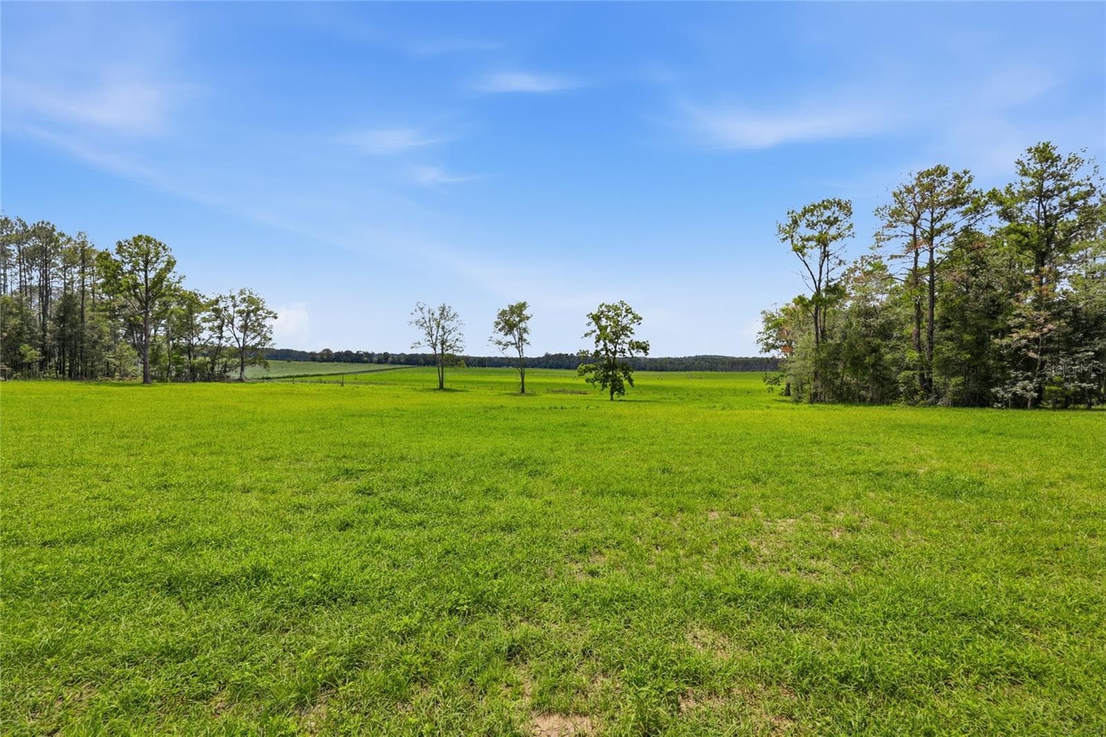 Land at Lot 19 254TH LN, ALACHUA, photo 3 of 25