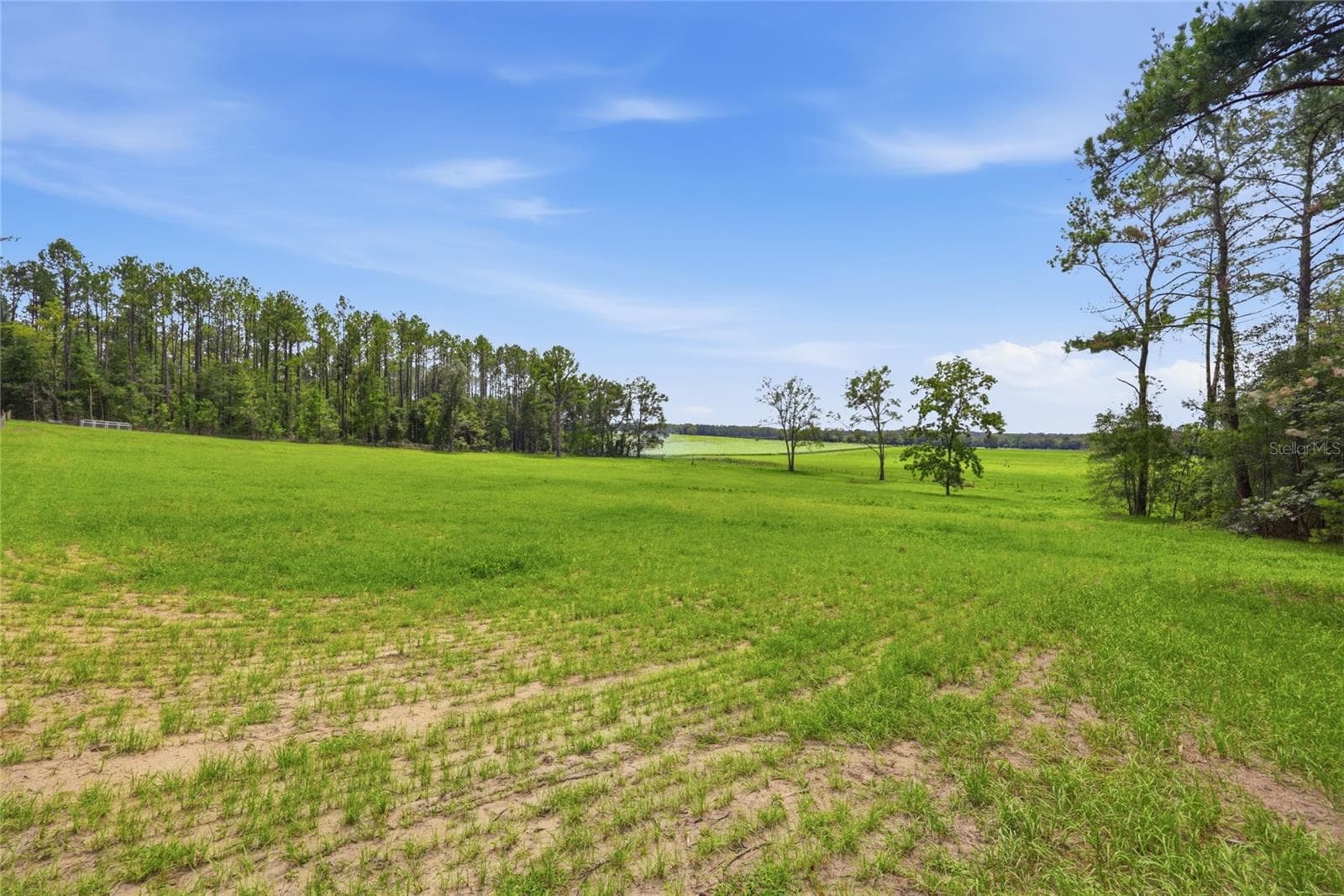 Land at Lot 19 254TH LN, ALACHUA, photo 4 of 25