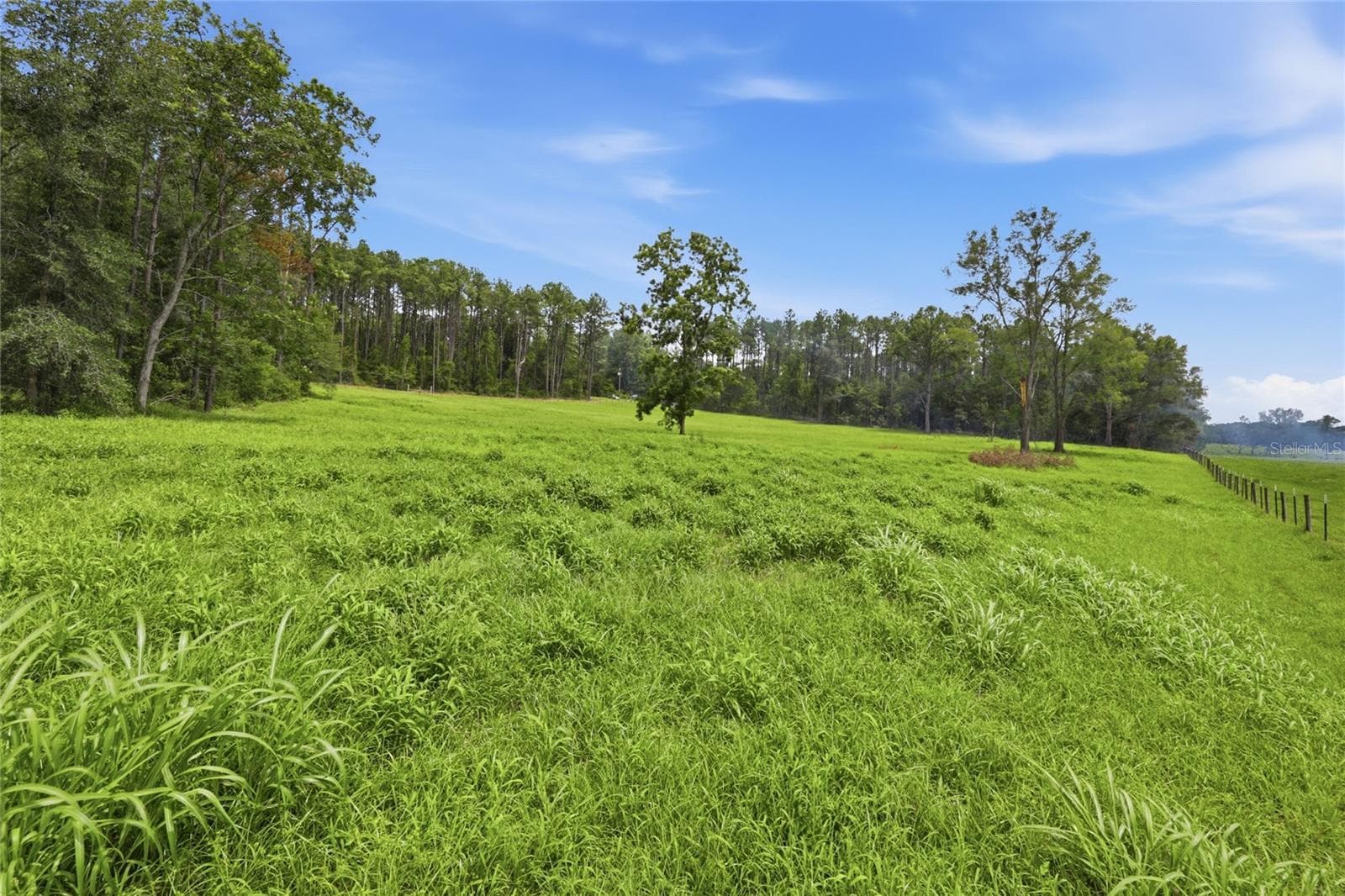 Land at Lot 19 254TH LN, ALACHUA, photo 5 of 25