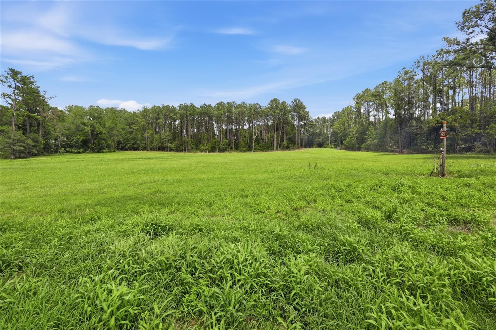 Land at Lot 19 254TH LN, ALACHUA, photo 6 of 25