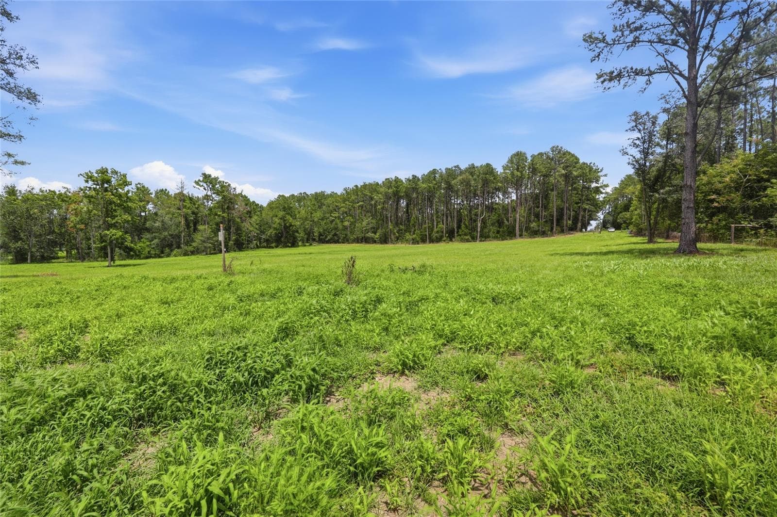 Land at Lot 19 254TH LN, ALACHUA, photo 7 of 25