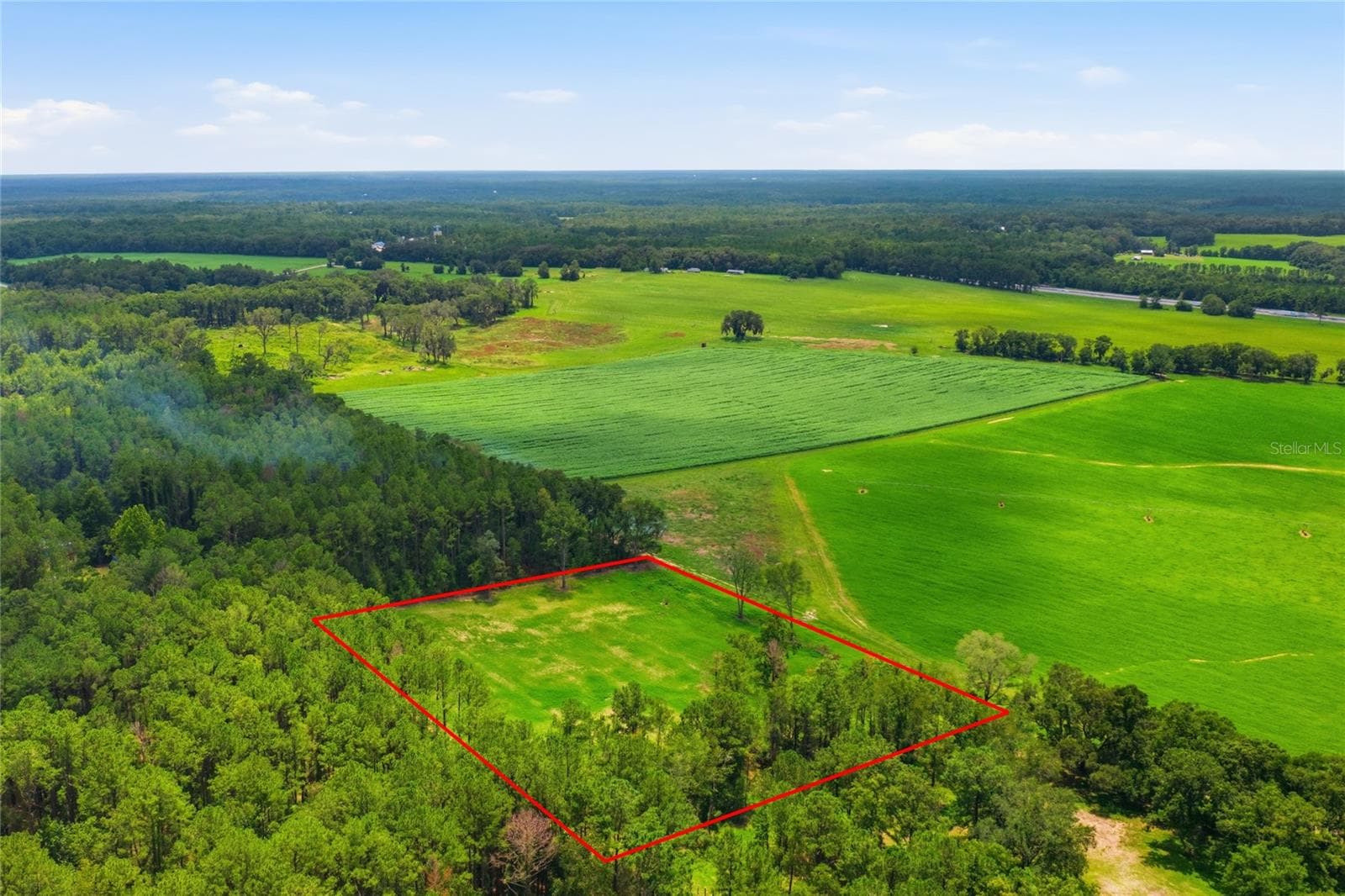 Land at Lot 19 254TH LN, ALACHUA, photo 9 of 25