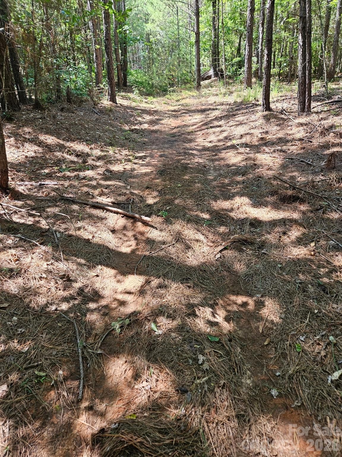 00 Cypress Drive
