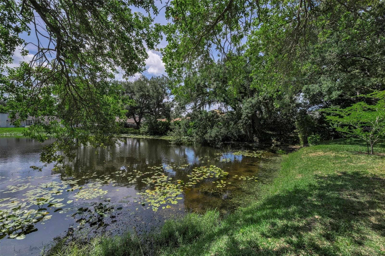 The beautiful pond... viewed from the huge screened lanai with grill area! - 10497 LONGWOOD DR, SEMINOLE
