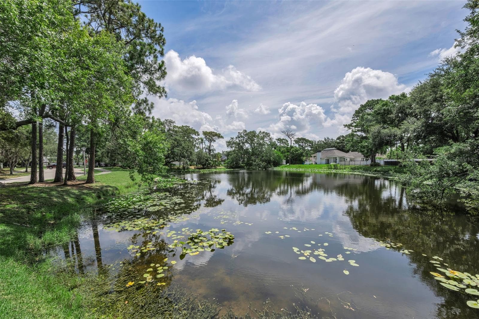 The serene pond adjacent to the villa and a few choice neighbors. Bardmoor North is such a lovely mid county location! - 10497 LONGWOOD DR, SEMINOLE