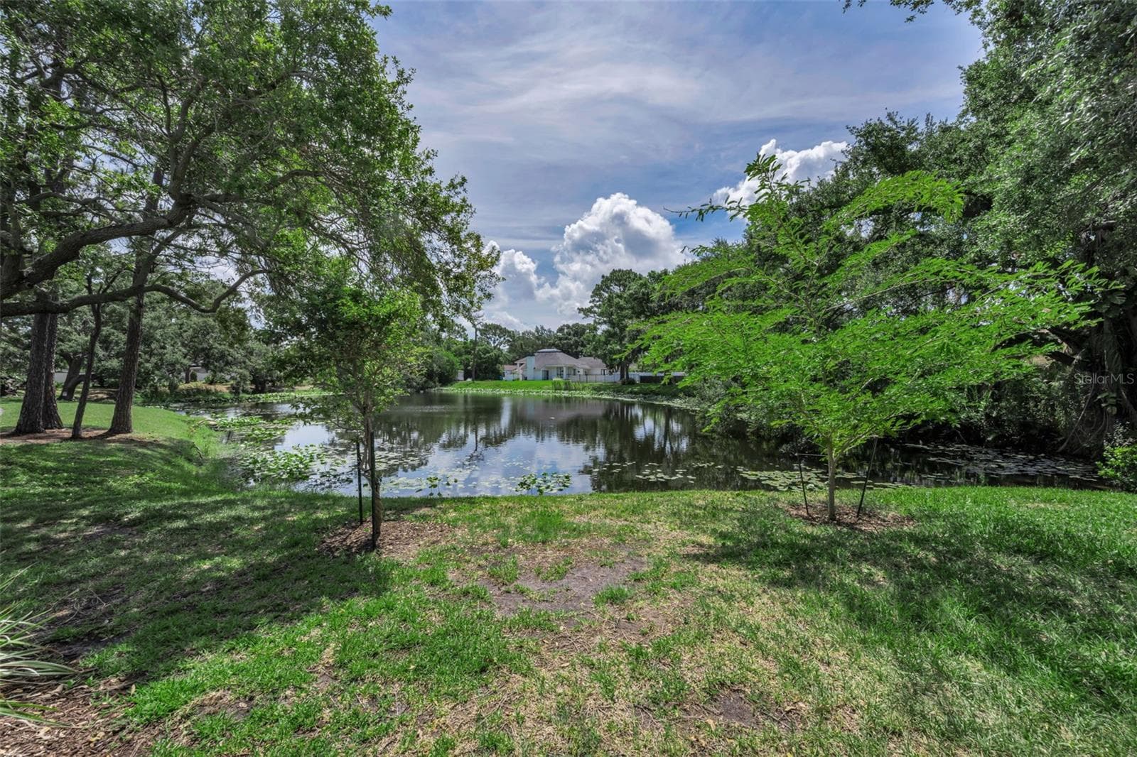 View from the back yard. - 10497 LONGWOOD DR, SEMINOLE
