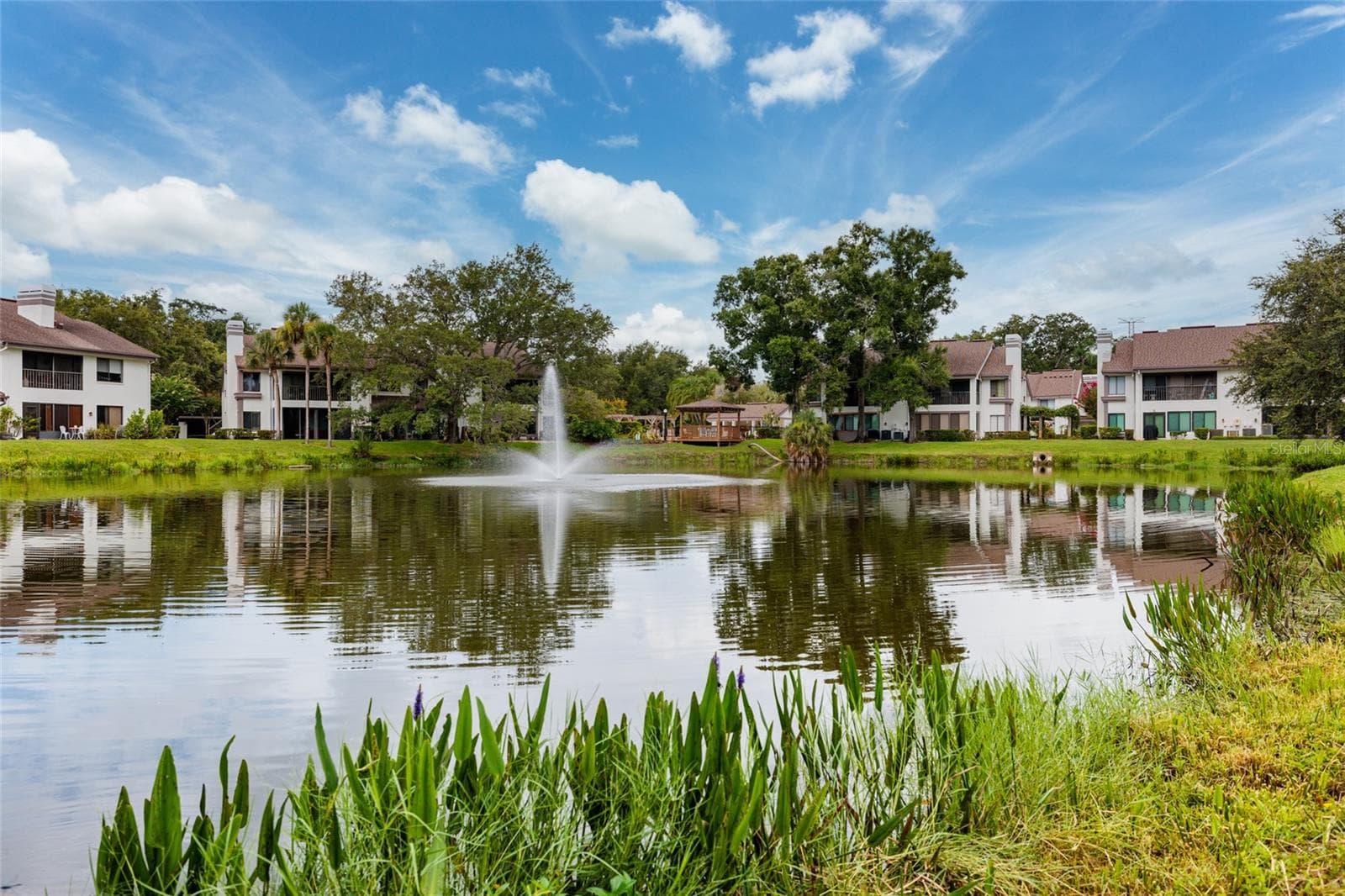 Community Lake - 1750 LAKE CYPRESS DR #1002, SAFETY HARBOR