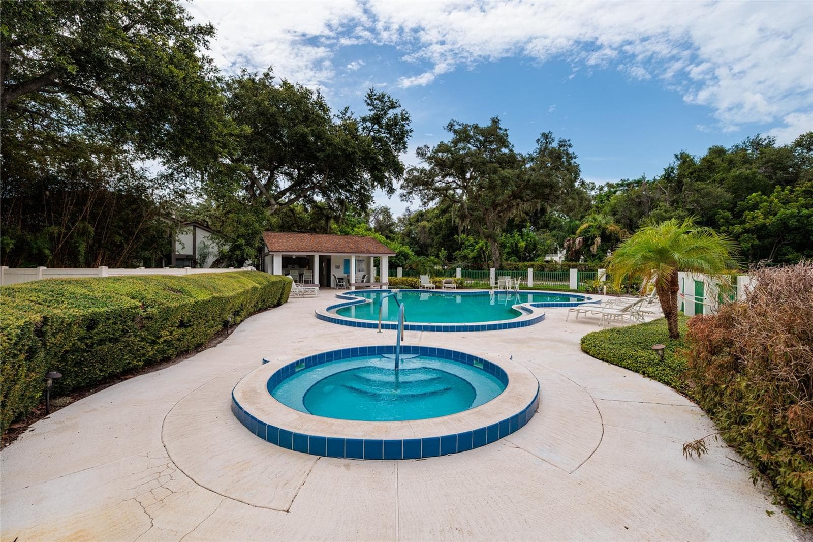 Community Pool - 1750 LAKE CYPRESS DR #1002, SAFETY HARBOR