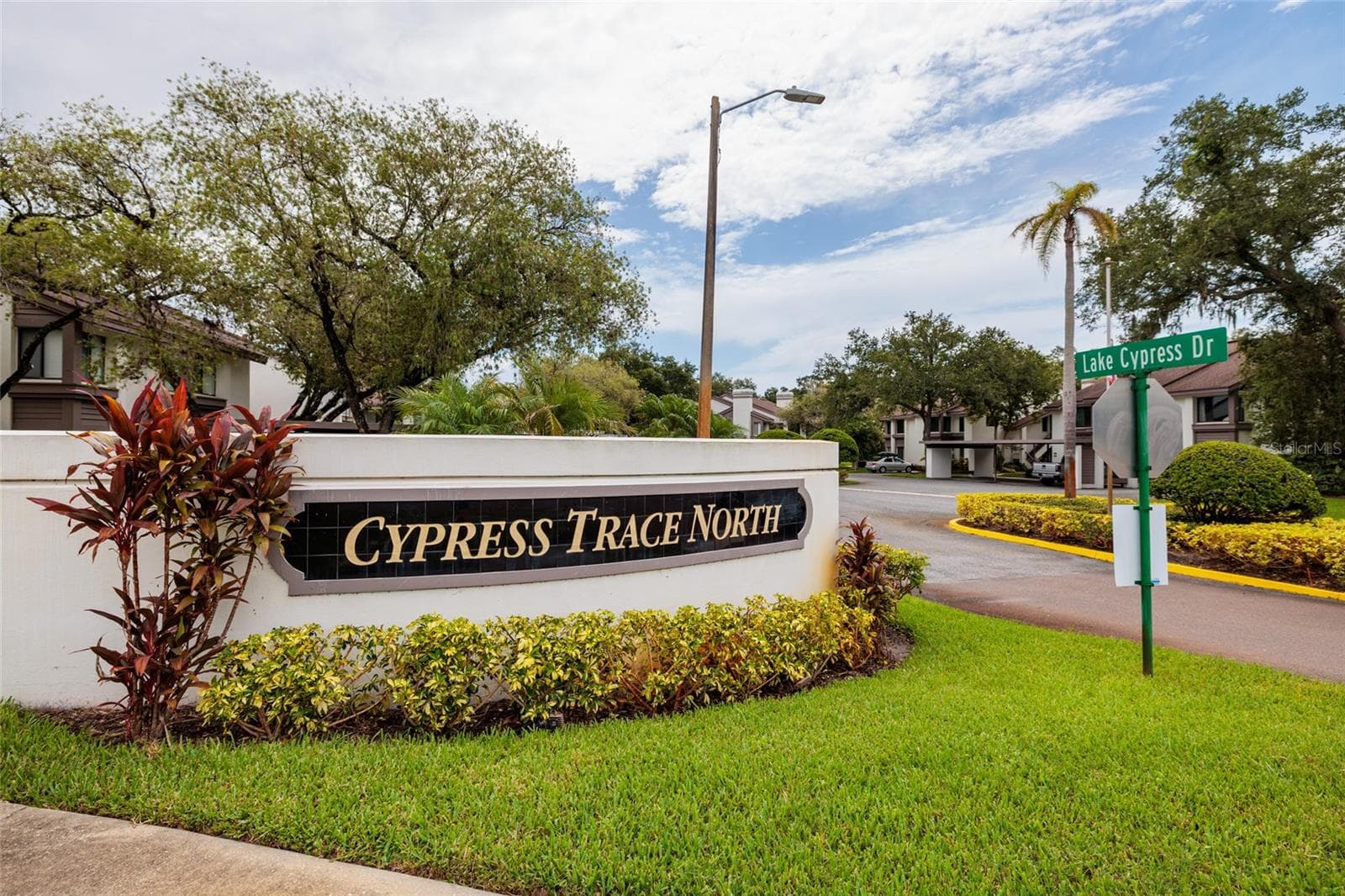 Cypress Trace North Community - 1750 LAKE CYPRESS DR #1002, SAFETY HARBOR