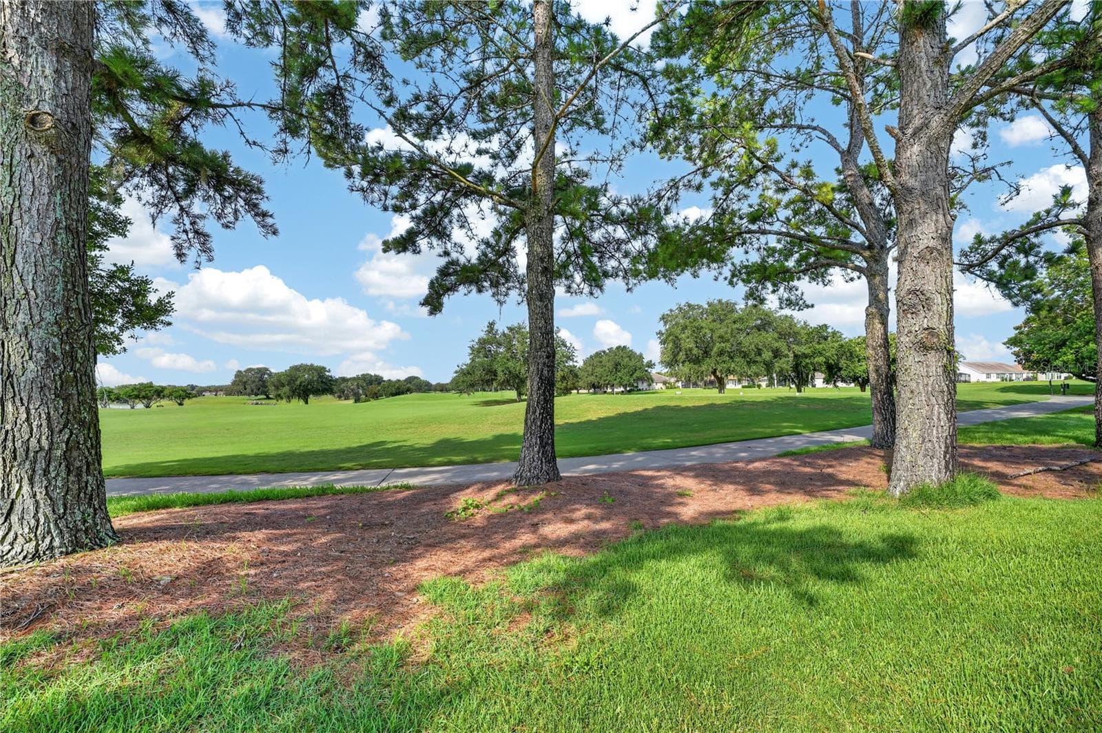 Back yard lot line view toward golf course - 16815 SE 85TH BELKNAP AVE, THE VILLAGES