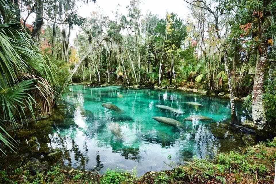 Crystal River - 11108 W THOREAU PL, CRYSTAL RIVER