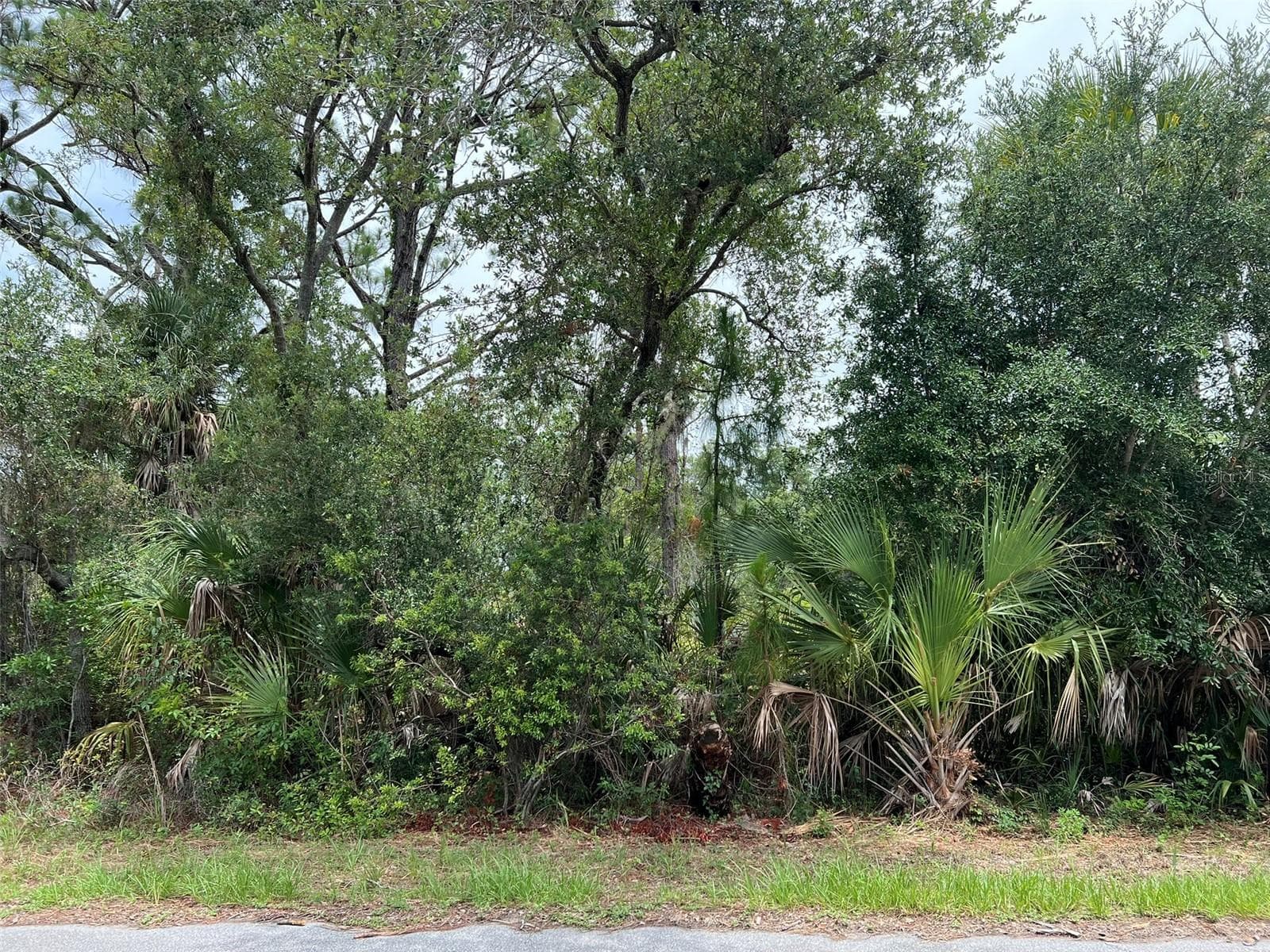 Land at 13414 CARRIE AVE, PORT CHARLOTTE, photo 3 of 6
