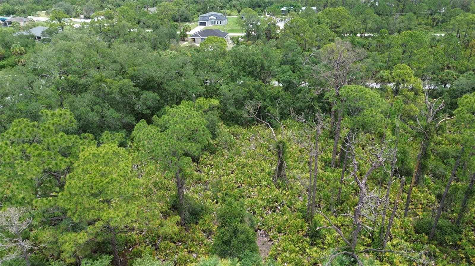 Land at 13414 CARRIE AVE, PORT CHARLOTTE, photo 4 of 6