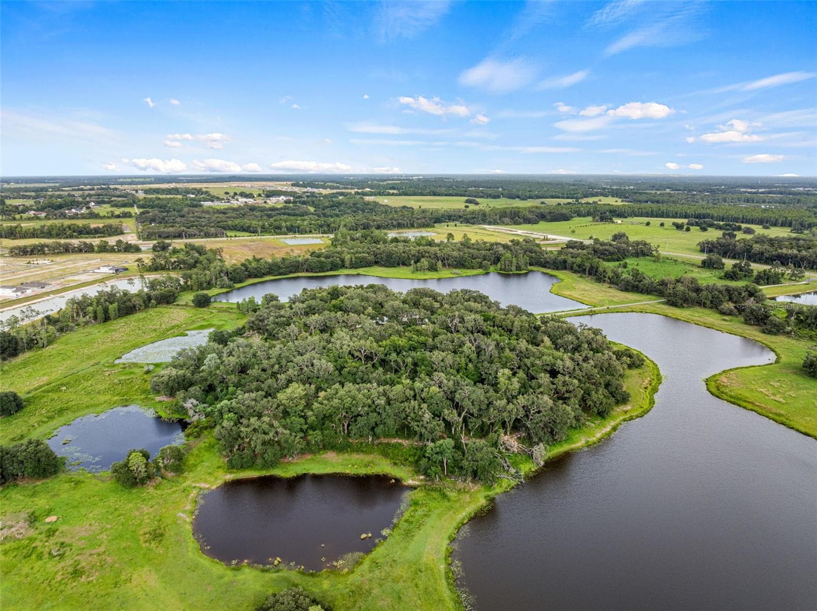 Land at 33415 KIEFER RD, WESLEY CHAPEL, photo 25 of 39