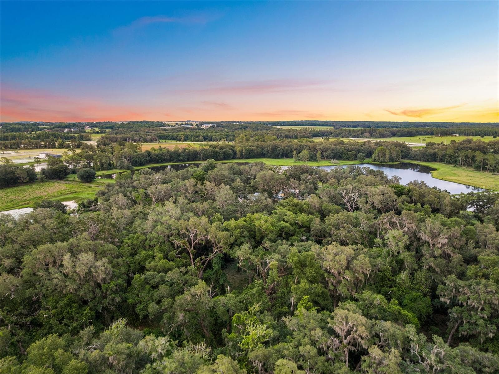 Land at 33415 KIEFER RD, WESLEY CHAPEL, photo 38 of 39