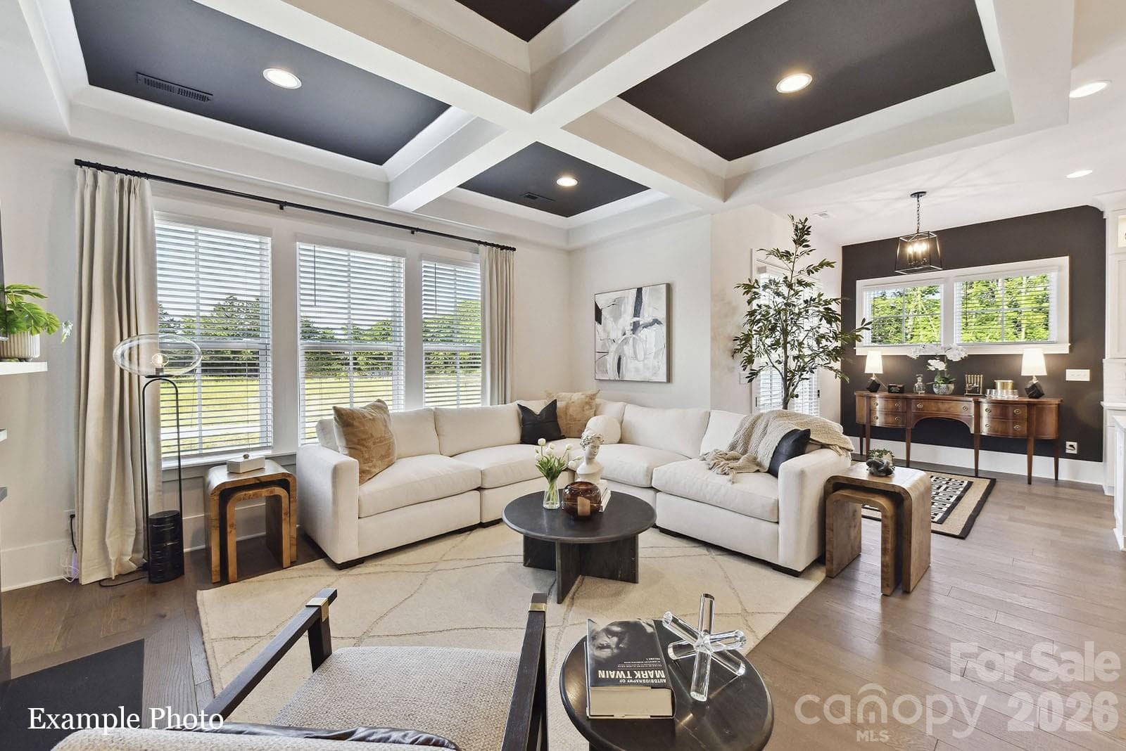 Townhouse at 4008 Hickory Springs Lane, Charlotte, photo 2 of 26