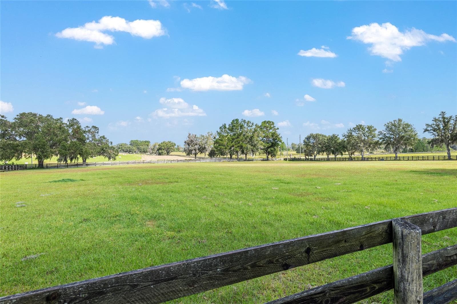 Farm at 8544 NW 160TH AVE, MORRISTON, photo 44 of 80